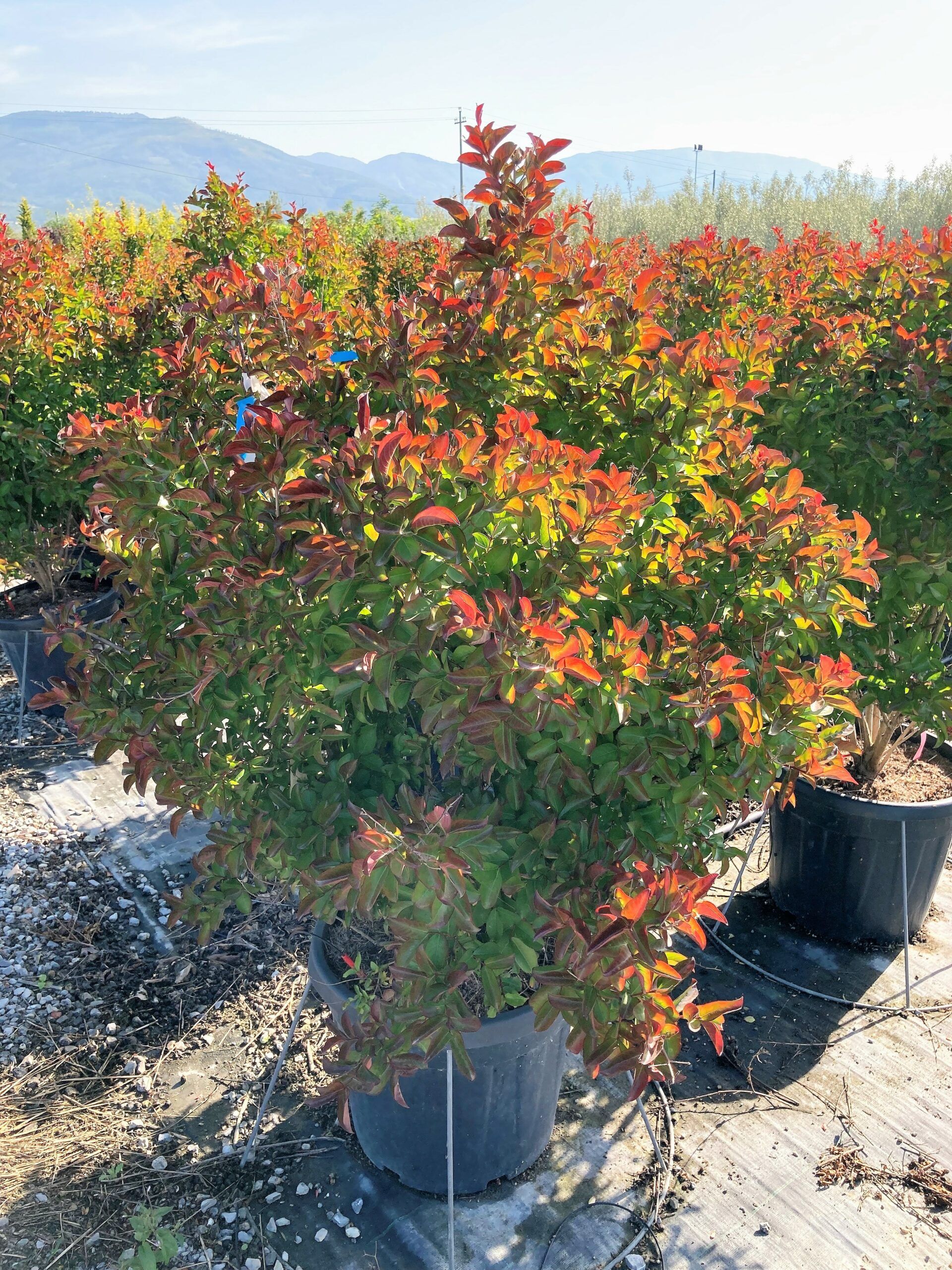 1654598045 adfadfa 4 scaled f3d5307c