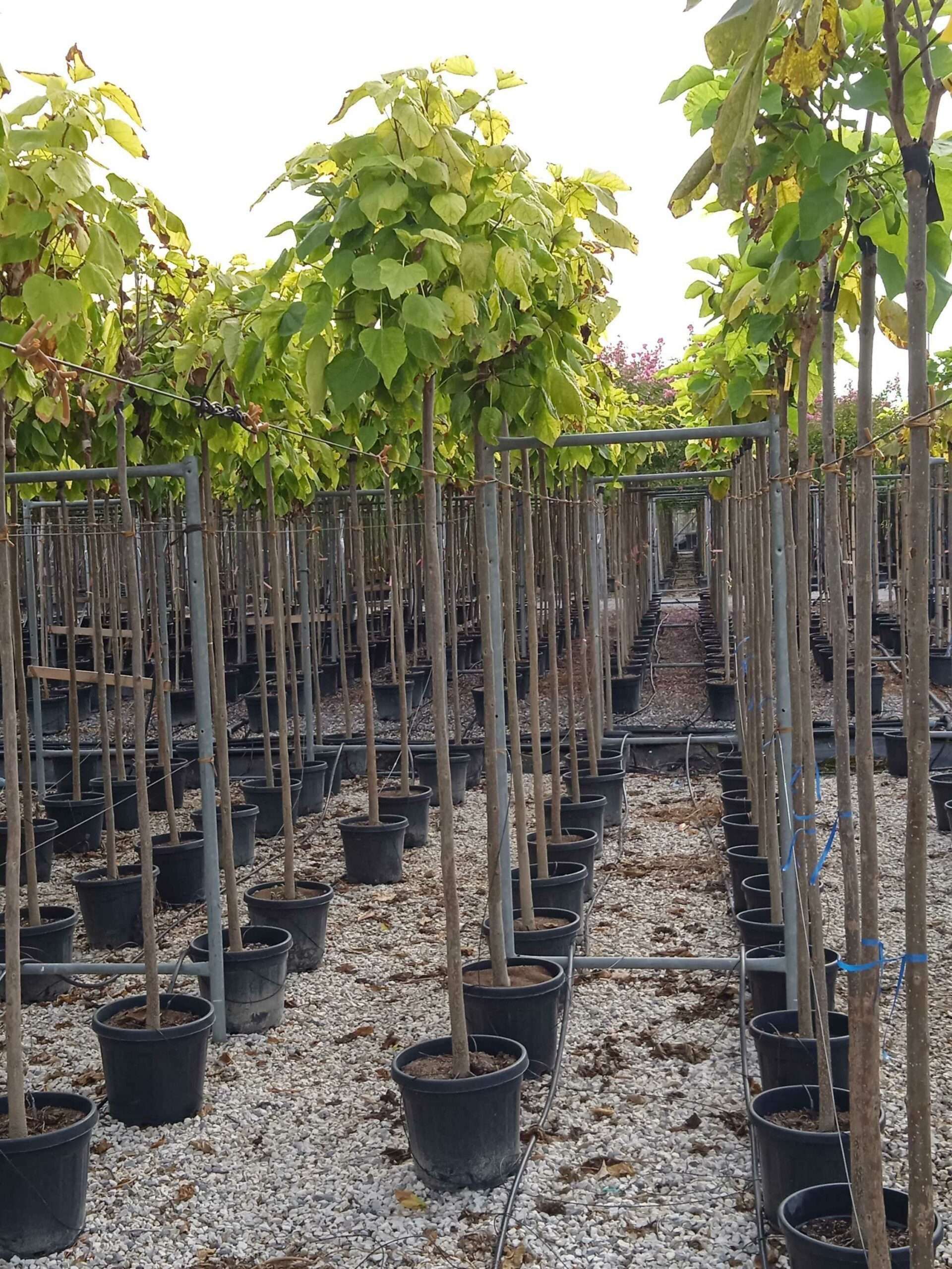 1662019842 scaled f384d7d1