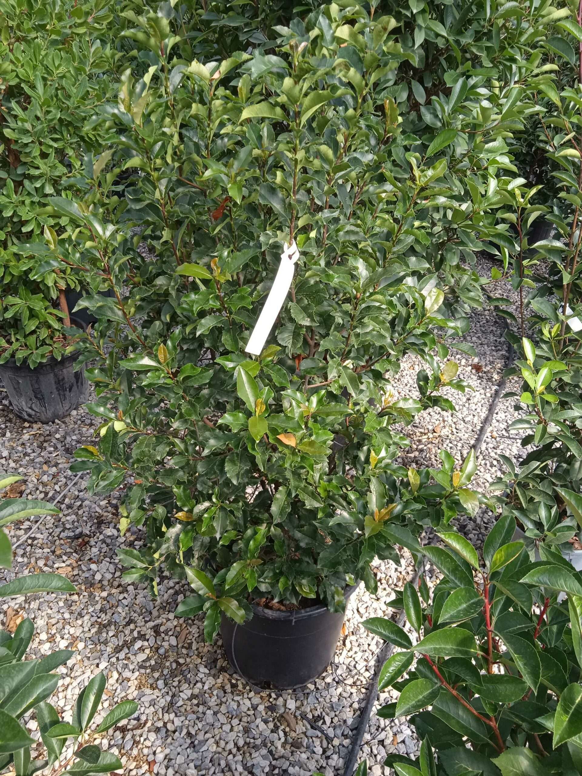 1662369198 scaled f36a2b37