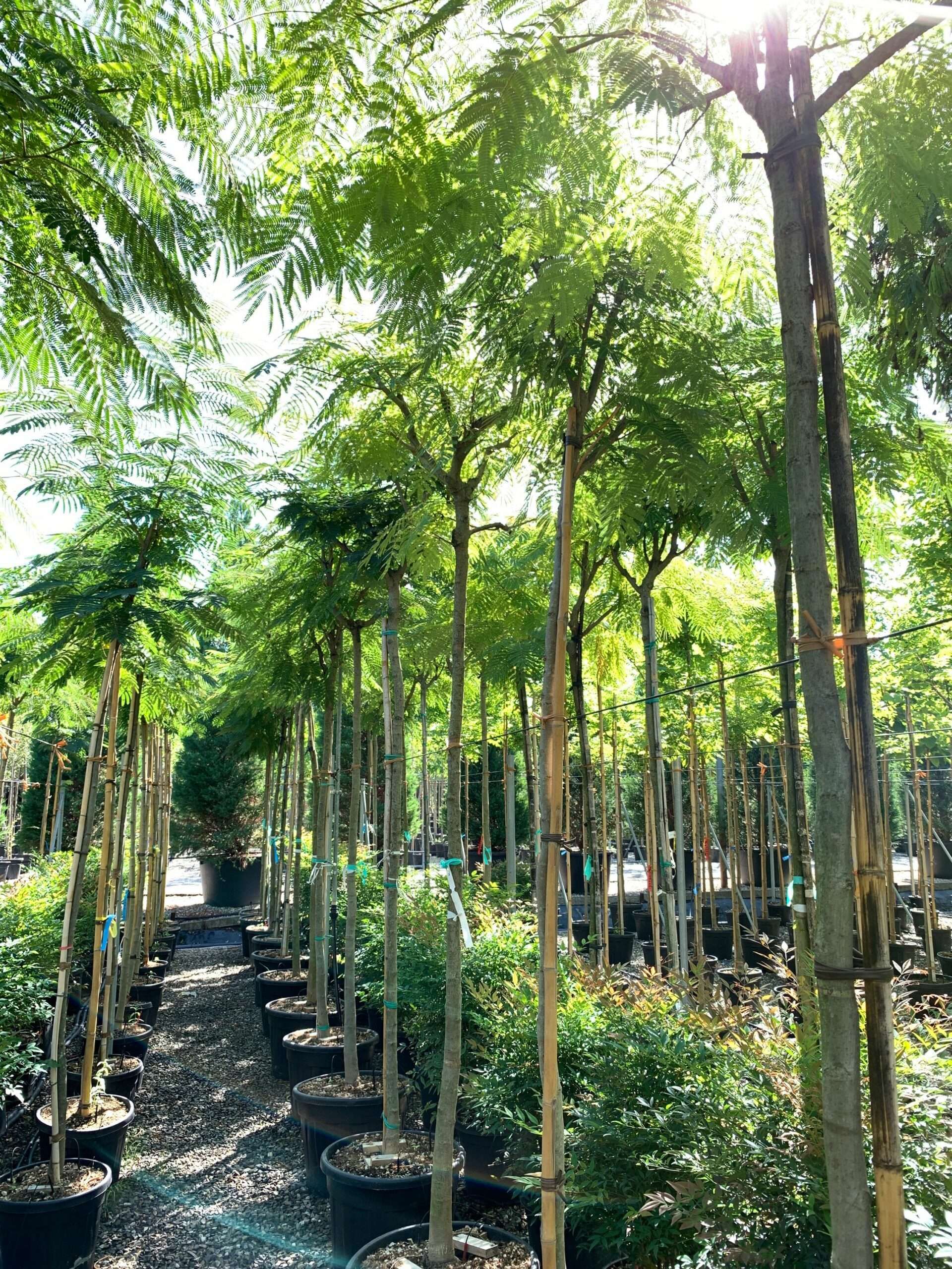 1662454453 scaled f3b31c12