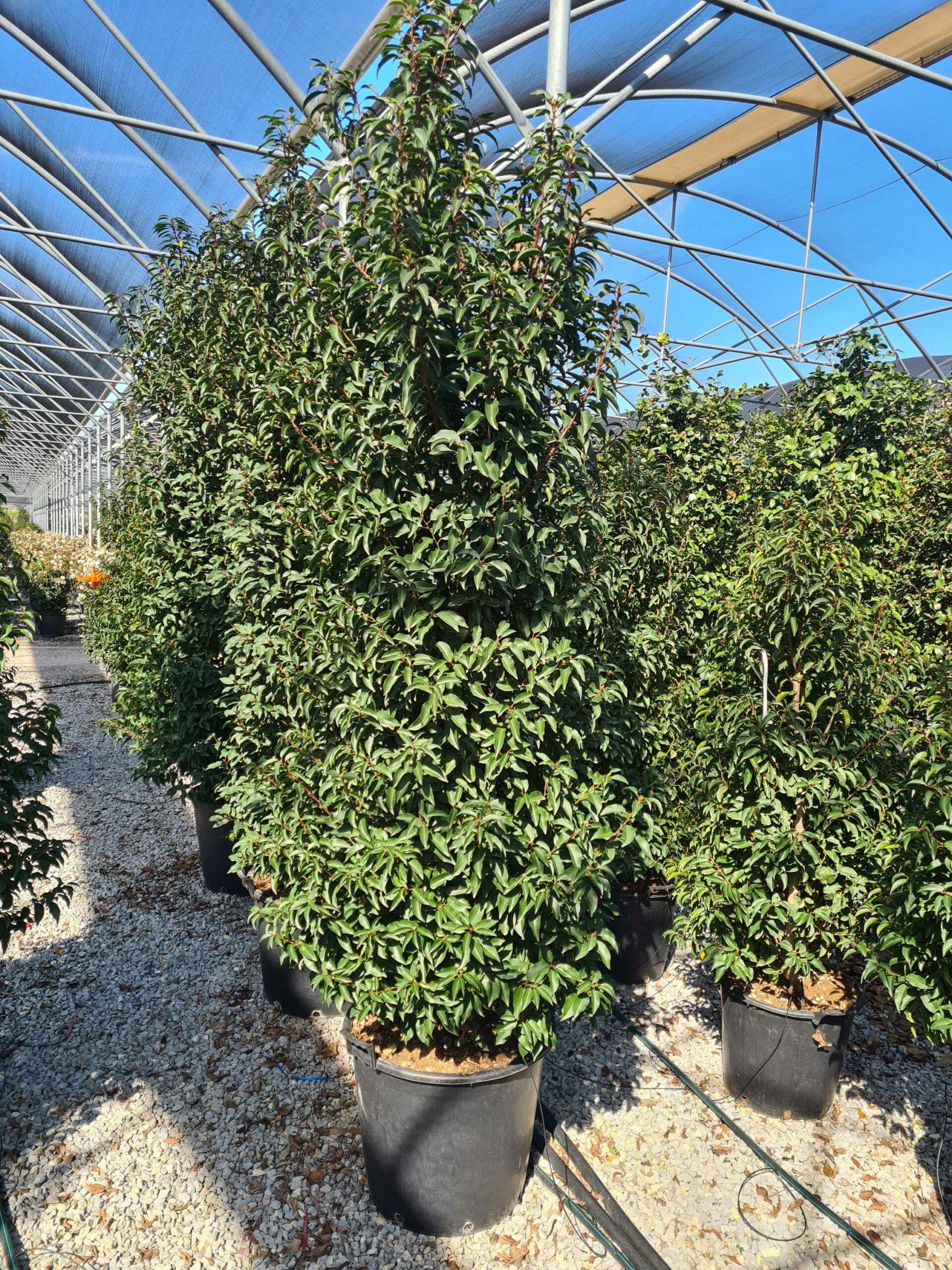 1680009886 scaled f3e217c2