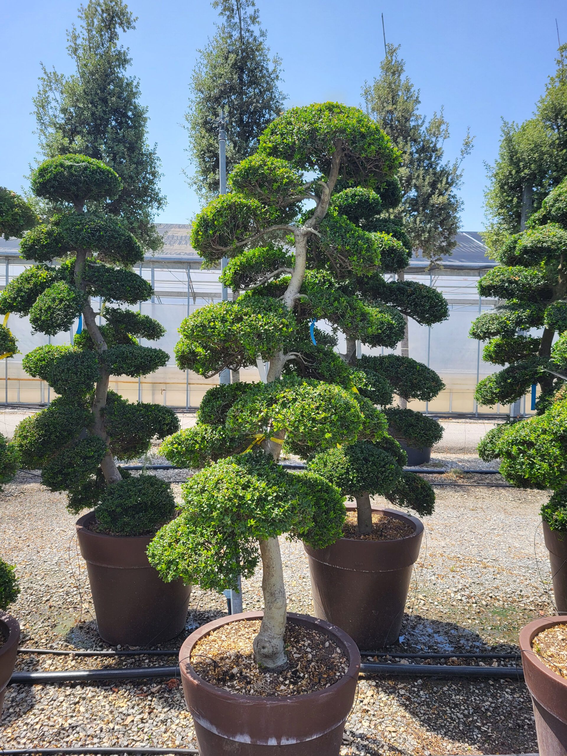 1689166058 scaled f318bb14