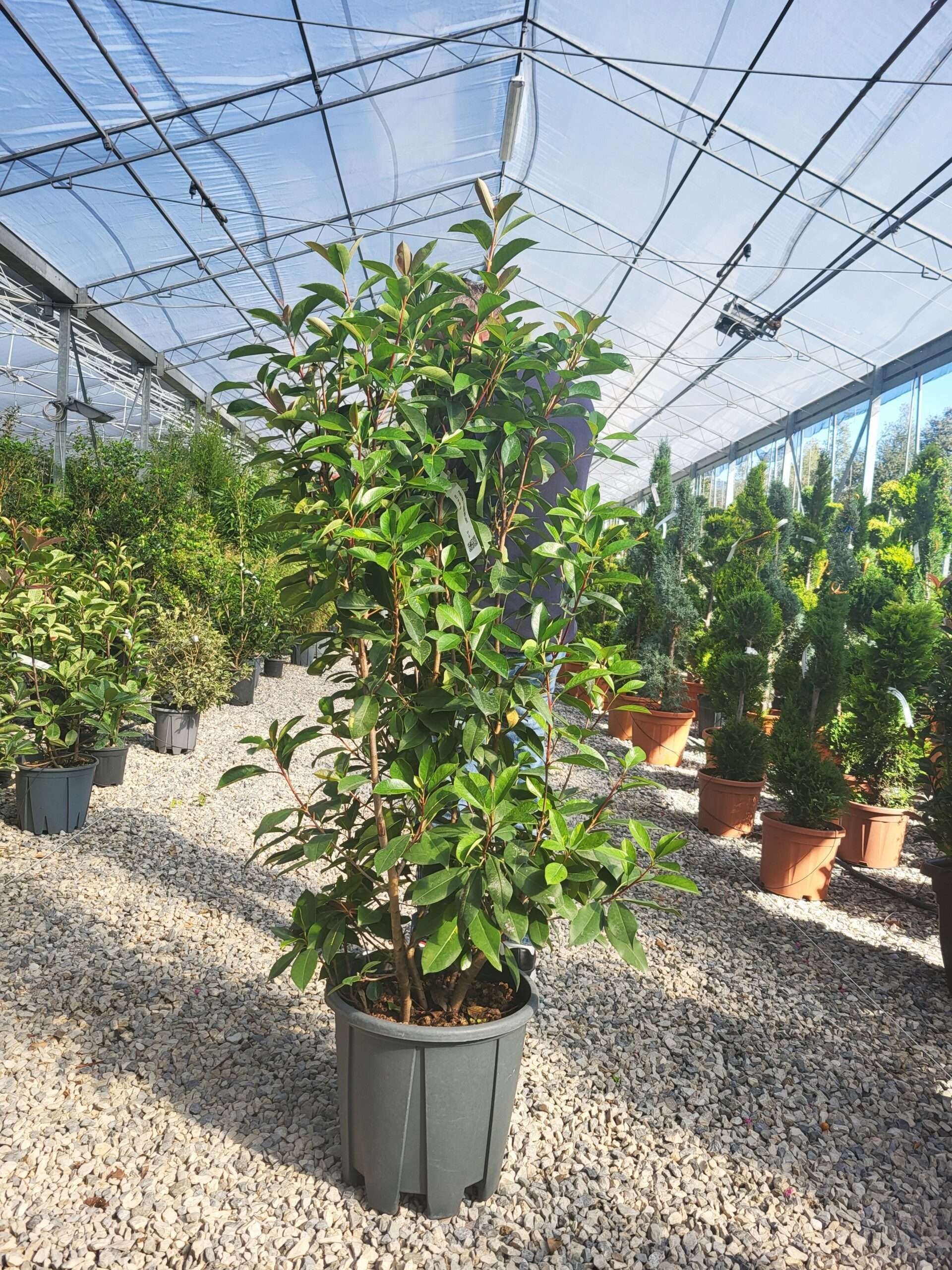 1696398534 scaled f30812c4