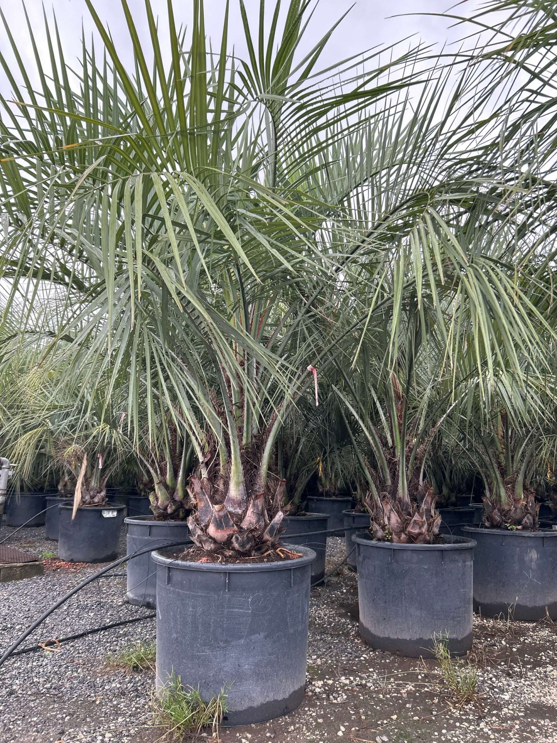 1698158654 scaled f38da233