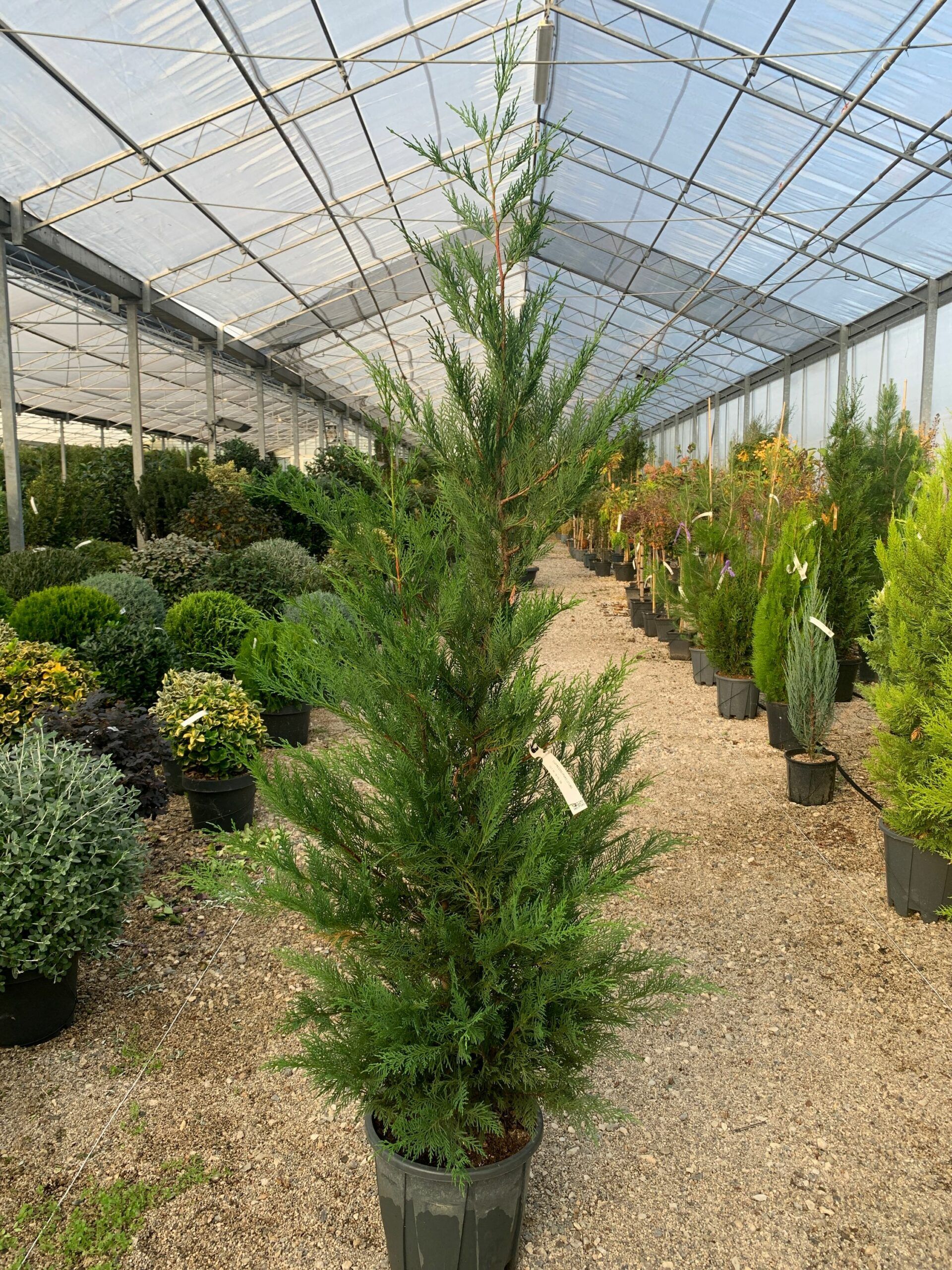 1637242238 scaled f487ceaf