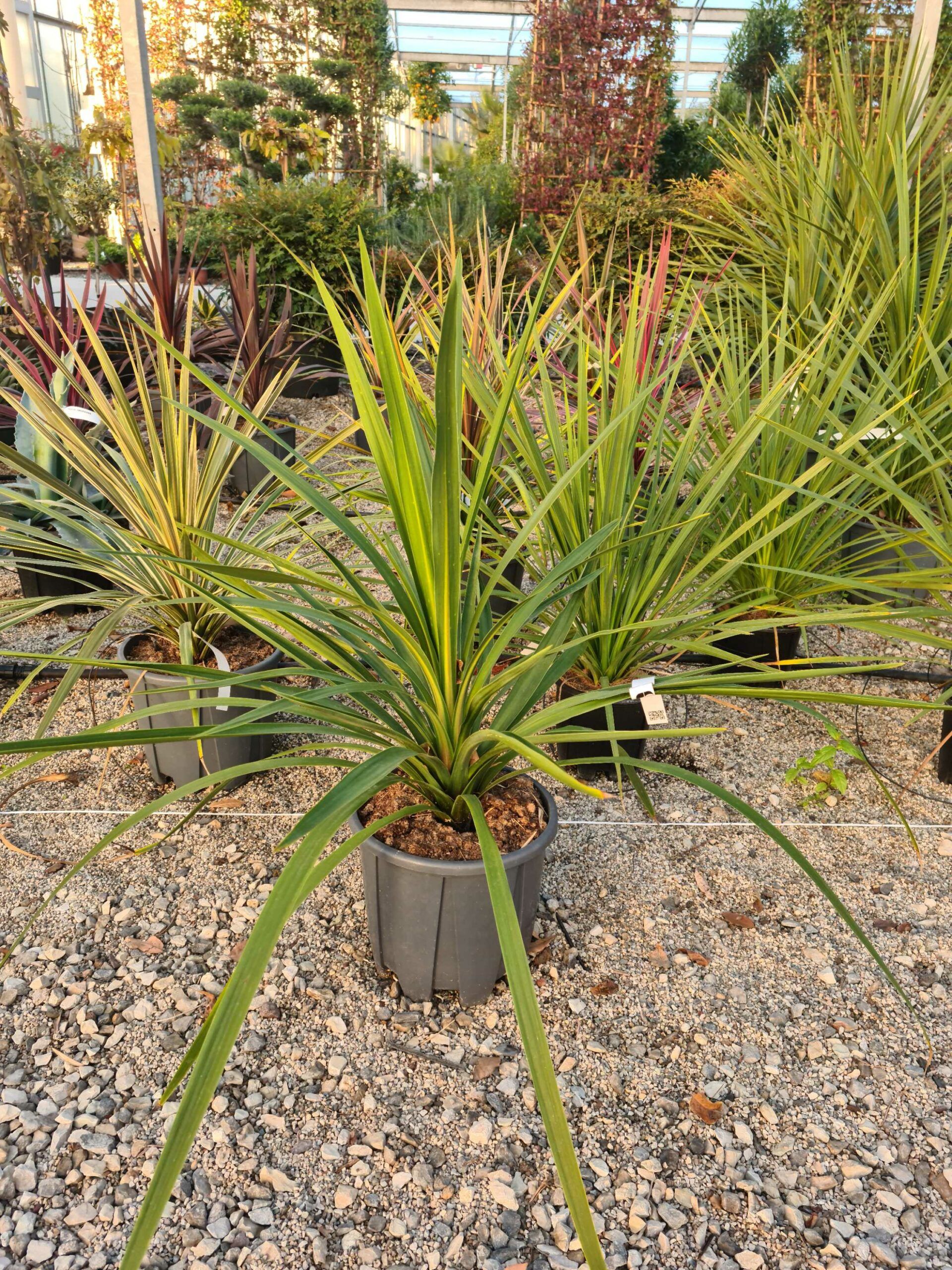 1639467851 scaled f48402c6