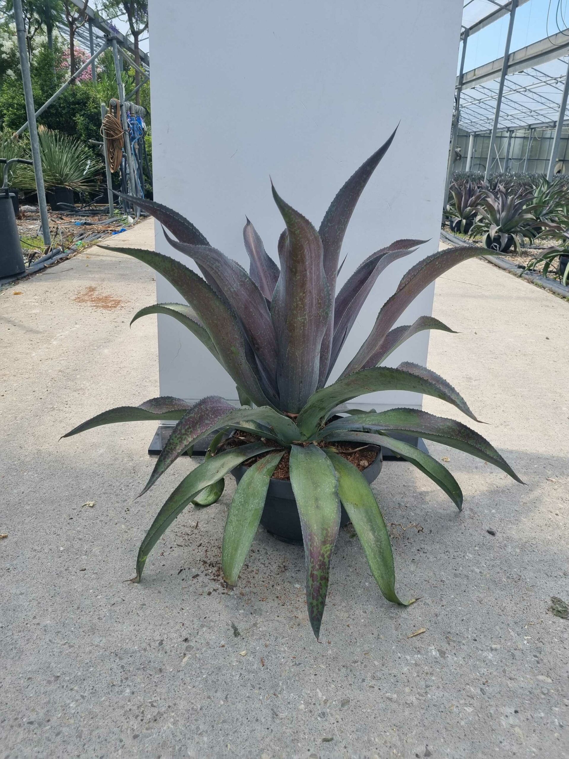 1685437834 scaled f4a8a922