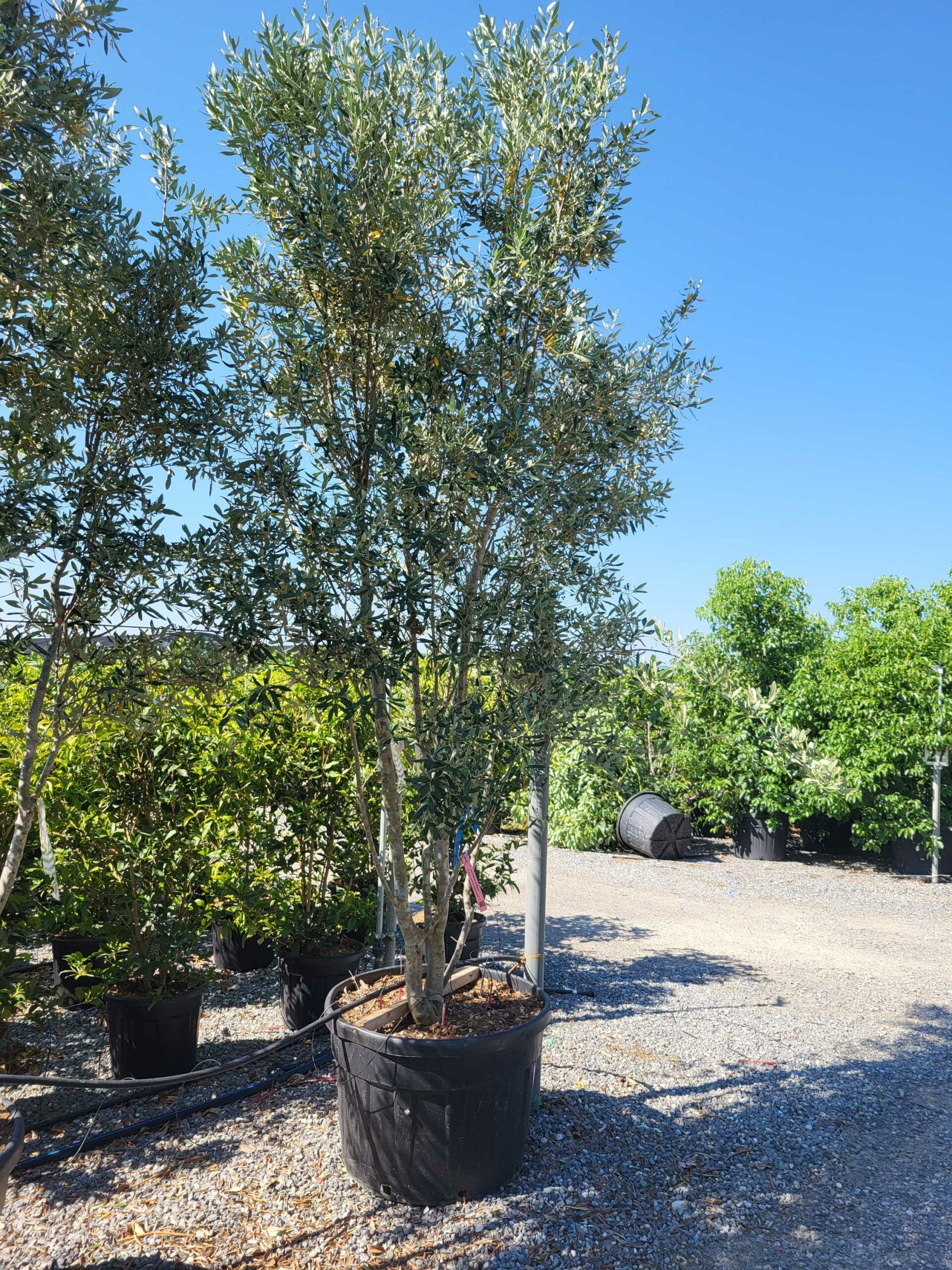 1692693352 scaled f41e9ac0