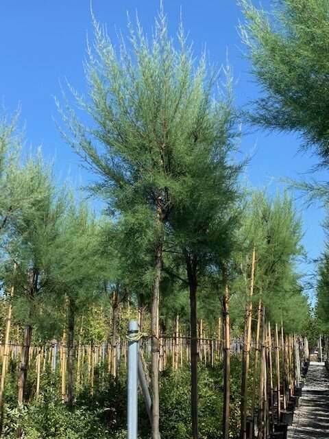 1603097513 rotated f526858b