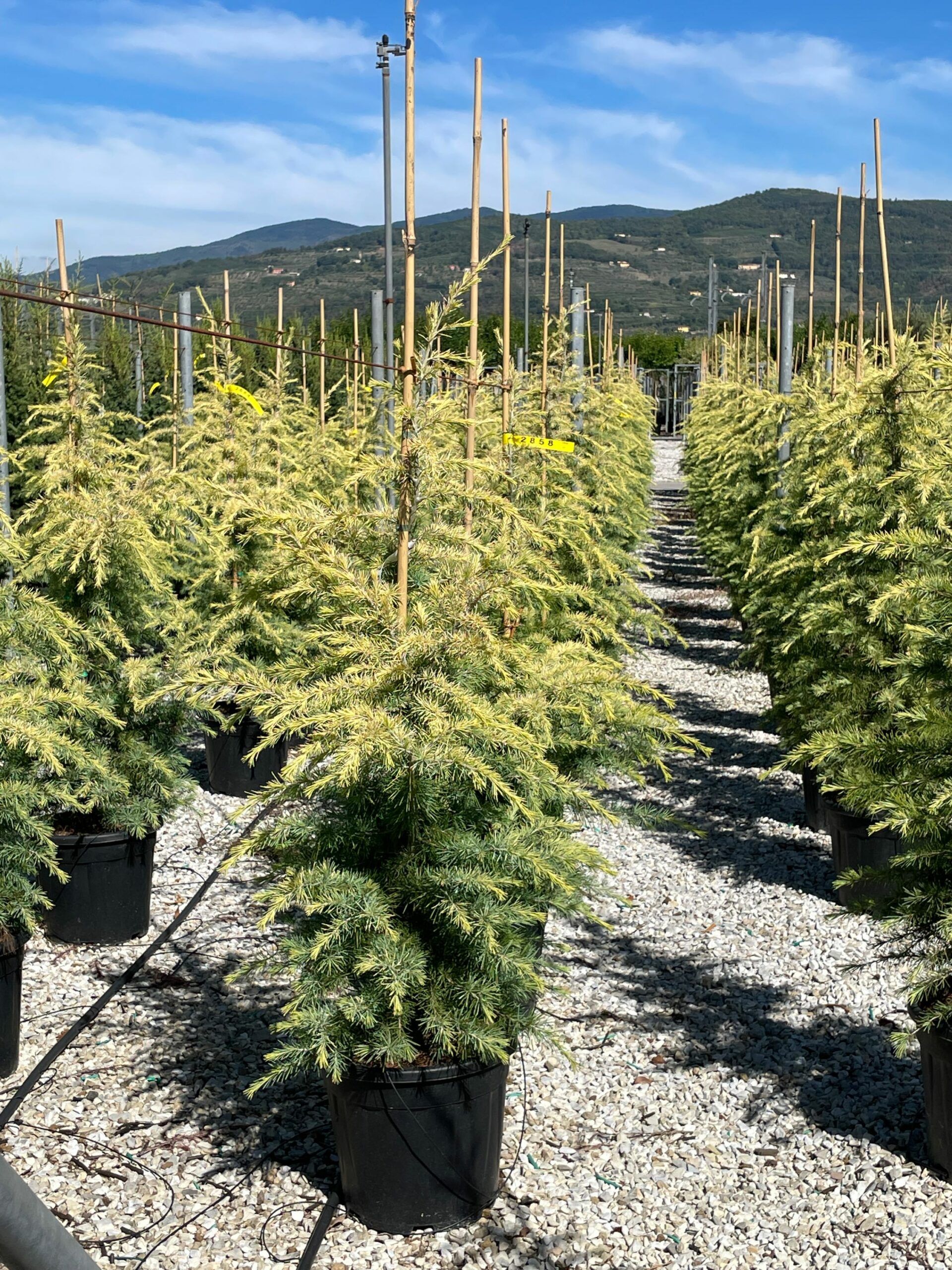 1632303699 scaled f5216391