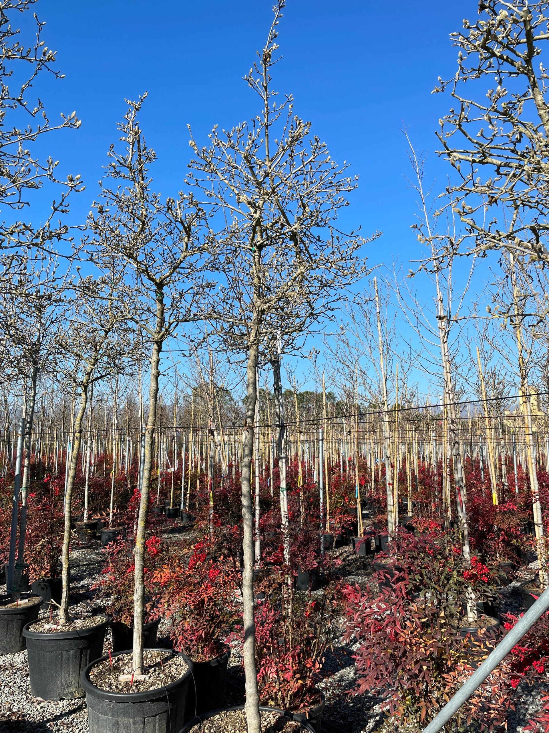 1643799288 scaled f58465a0