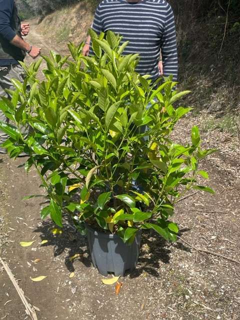 1682683276 IMG 7717 f5bbc7fc