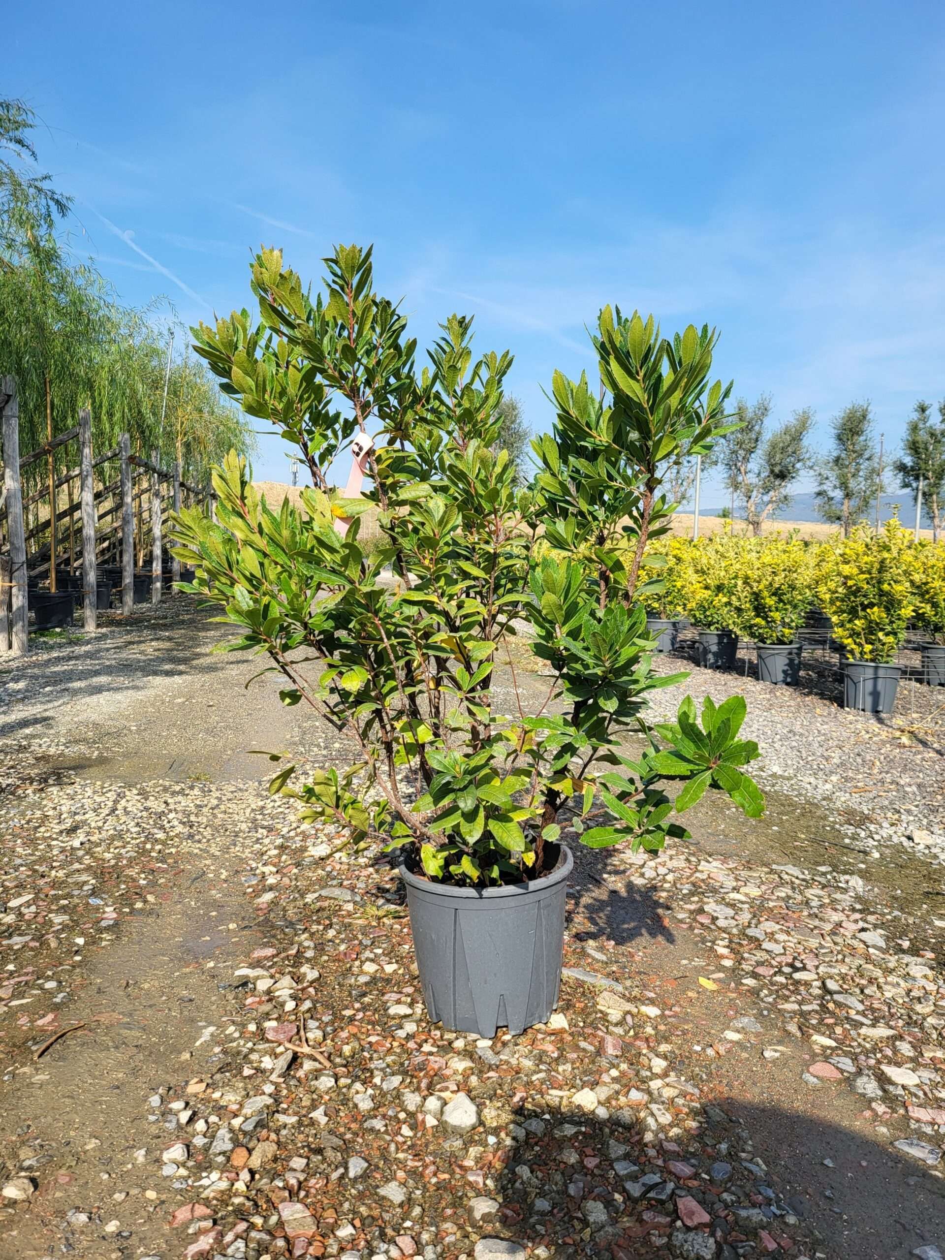 1696325539 scaled f579aa79