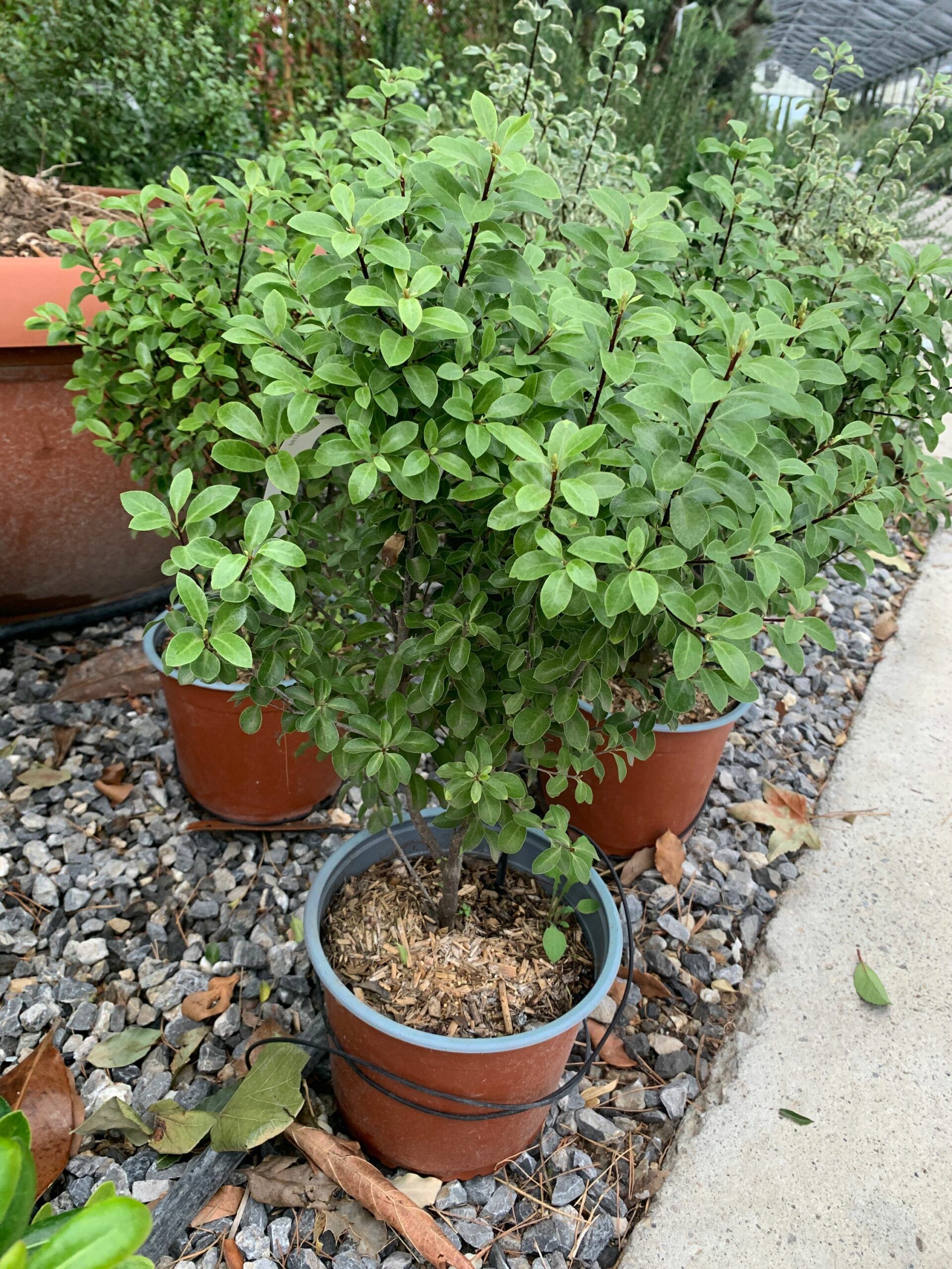 1634825900 scaled f604756f