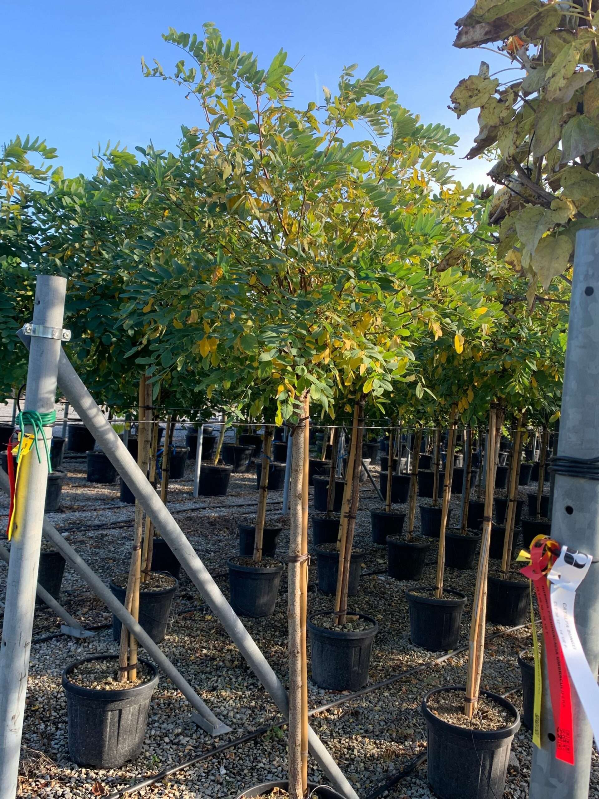 1635429307 scaled f68e75f1