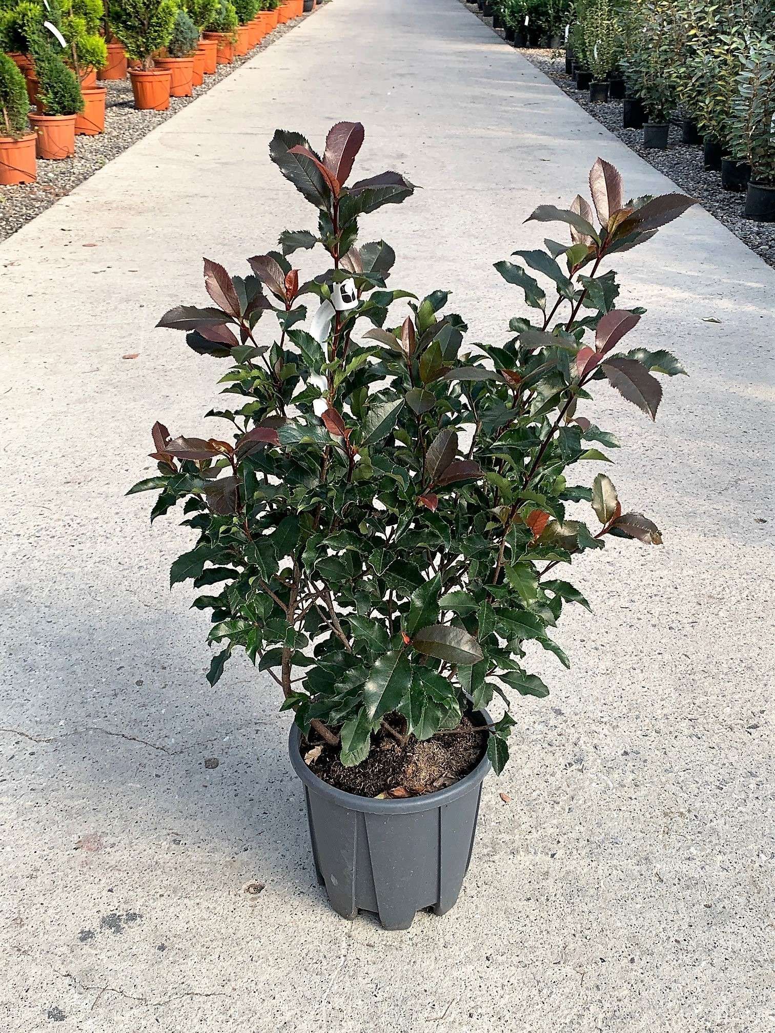 1635862933 jhjhjh f63c6ca8