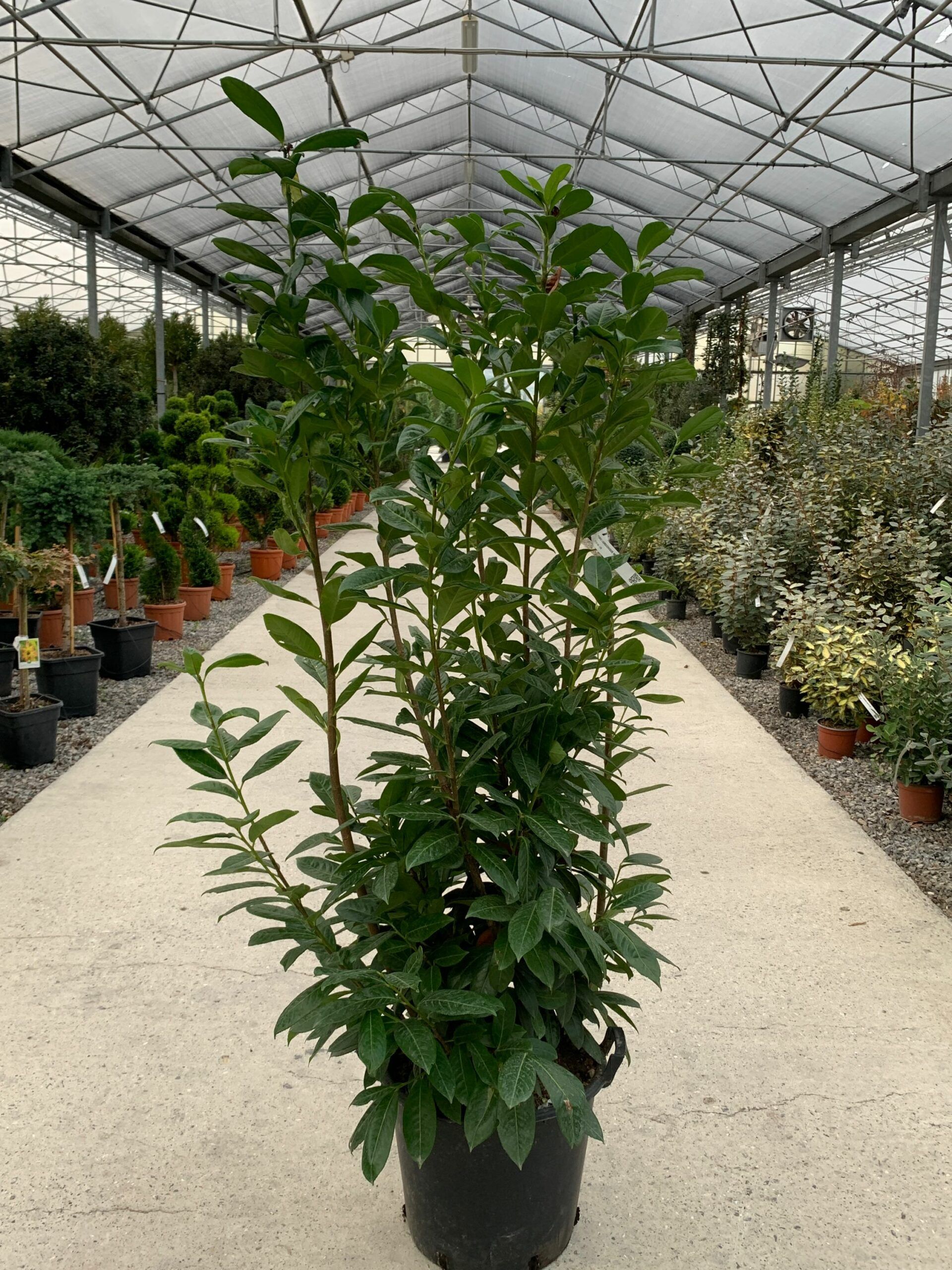 1637936716 scaled f6f05f8f