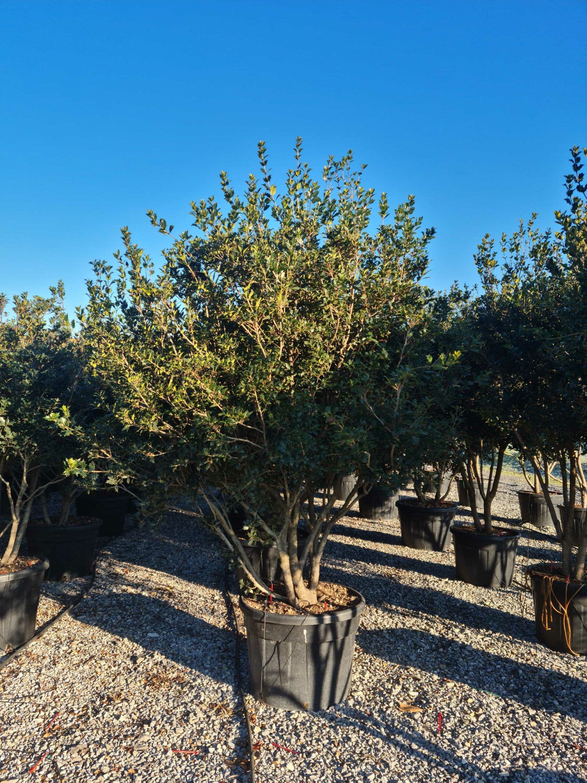 1639816394 scaled f6034a1b