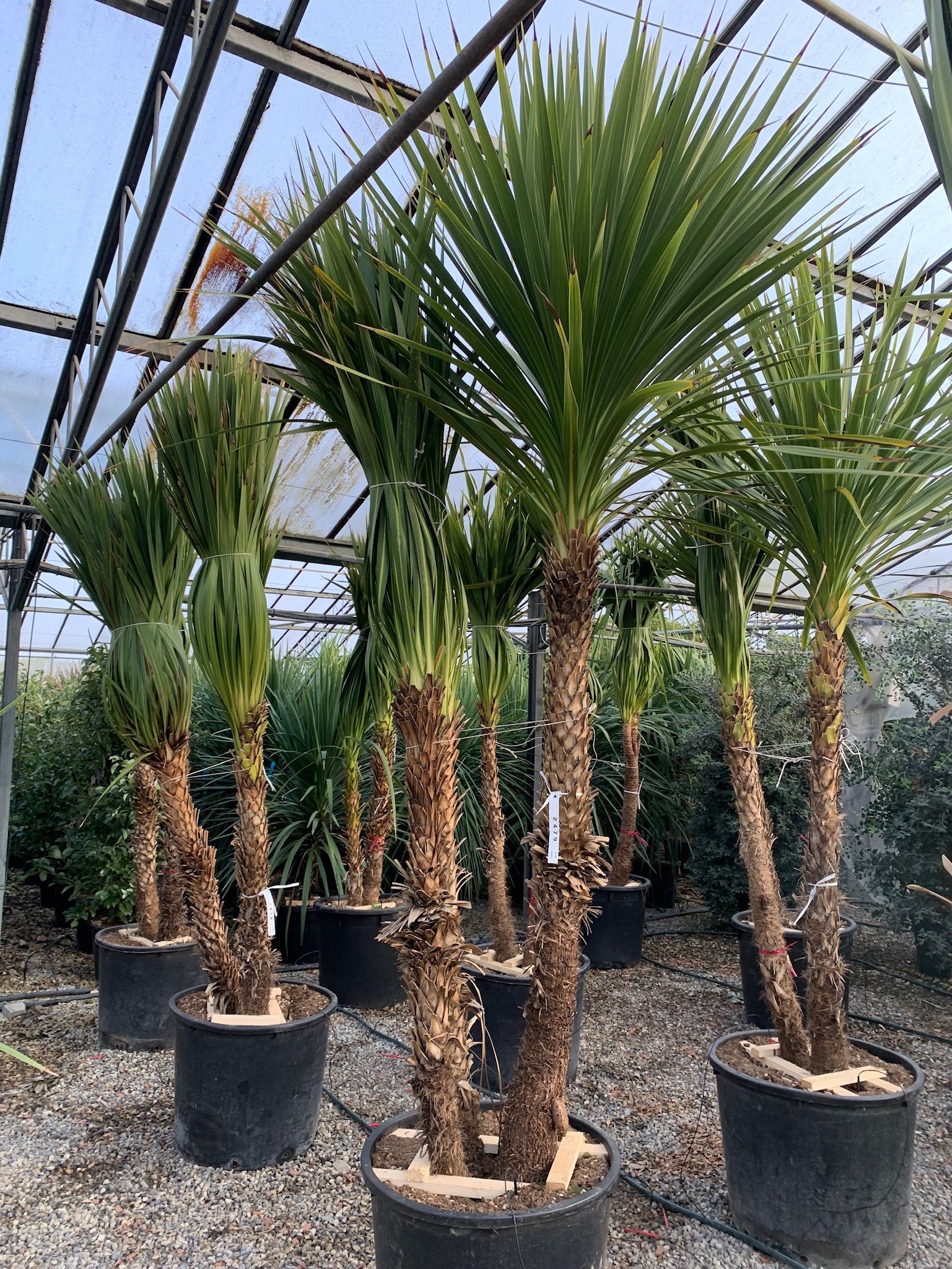 1642785963 0161f71b32739931714585be340b57d53323e72879 f6eaf72e