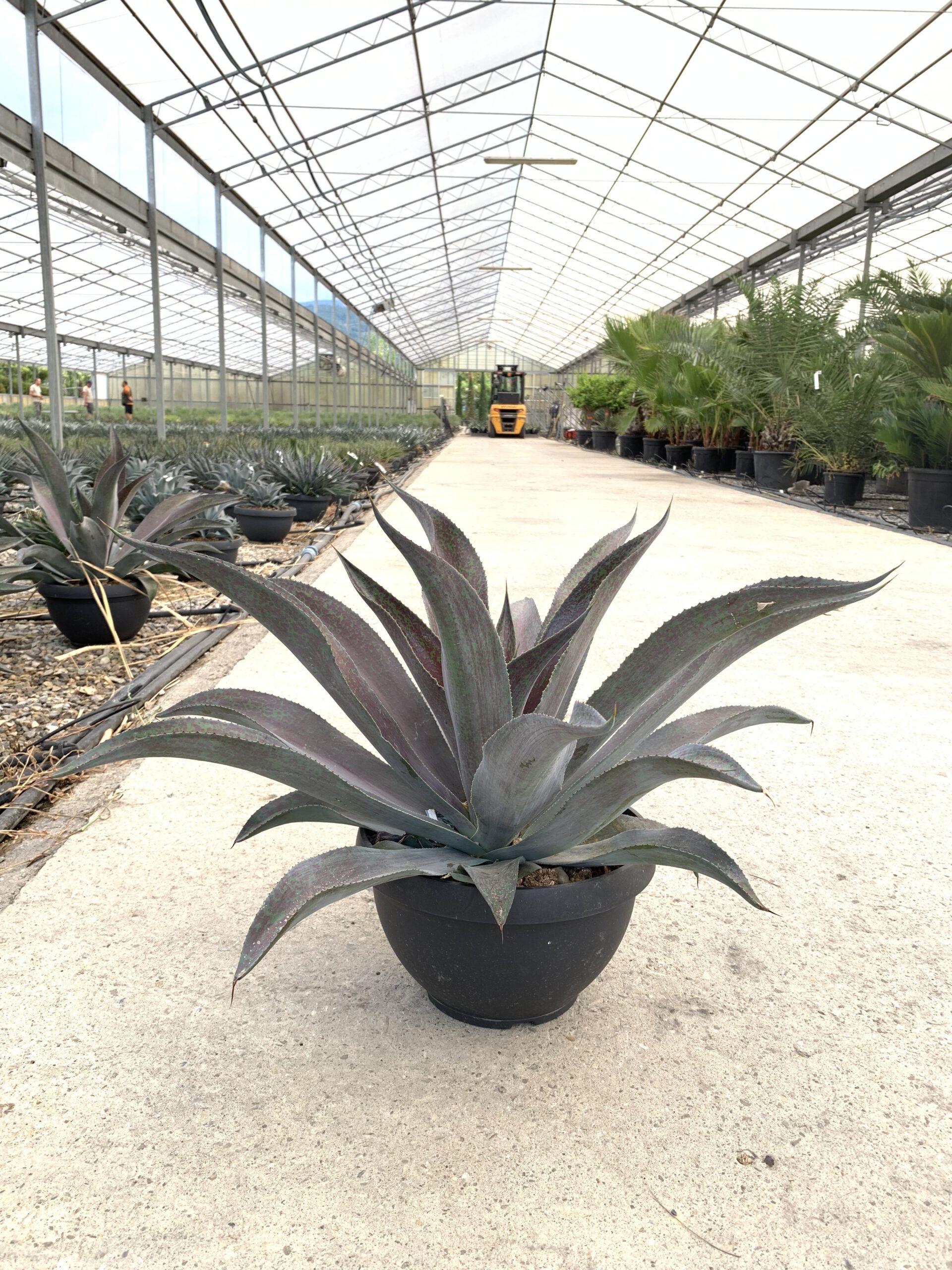 1659427479 scaled f69ac9ec