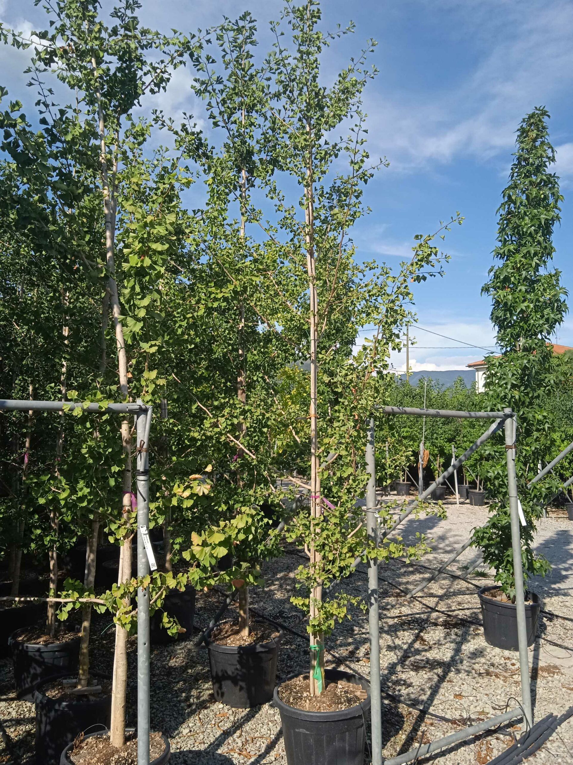 1662044010 scaled f637f1f6