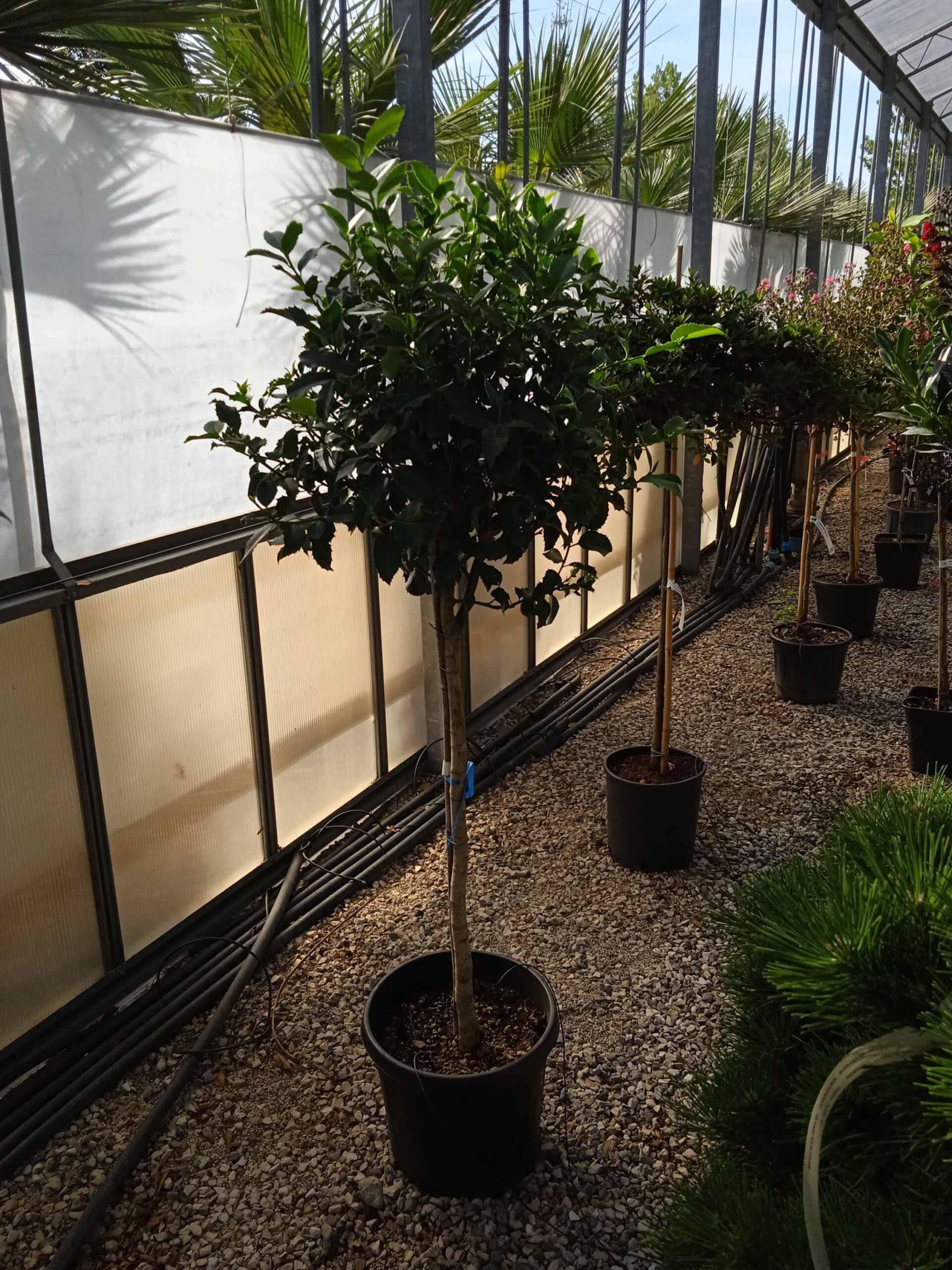 1662365337 scaled f645f388