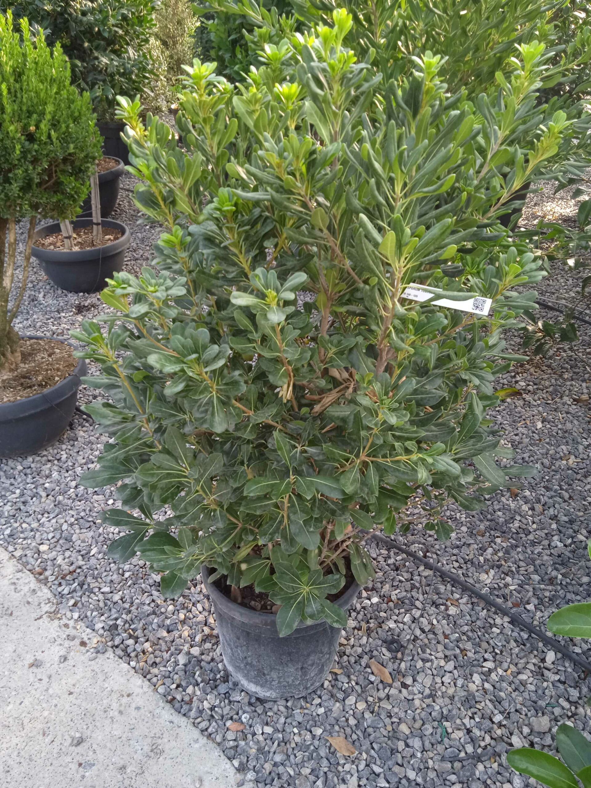 1662446923 scaled f62356f7