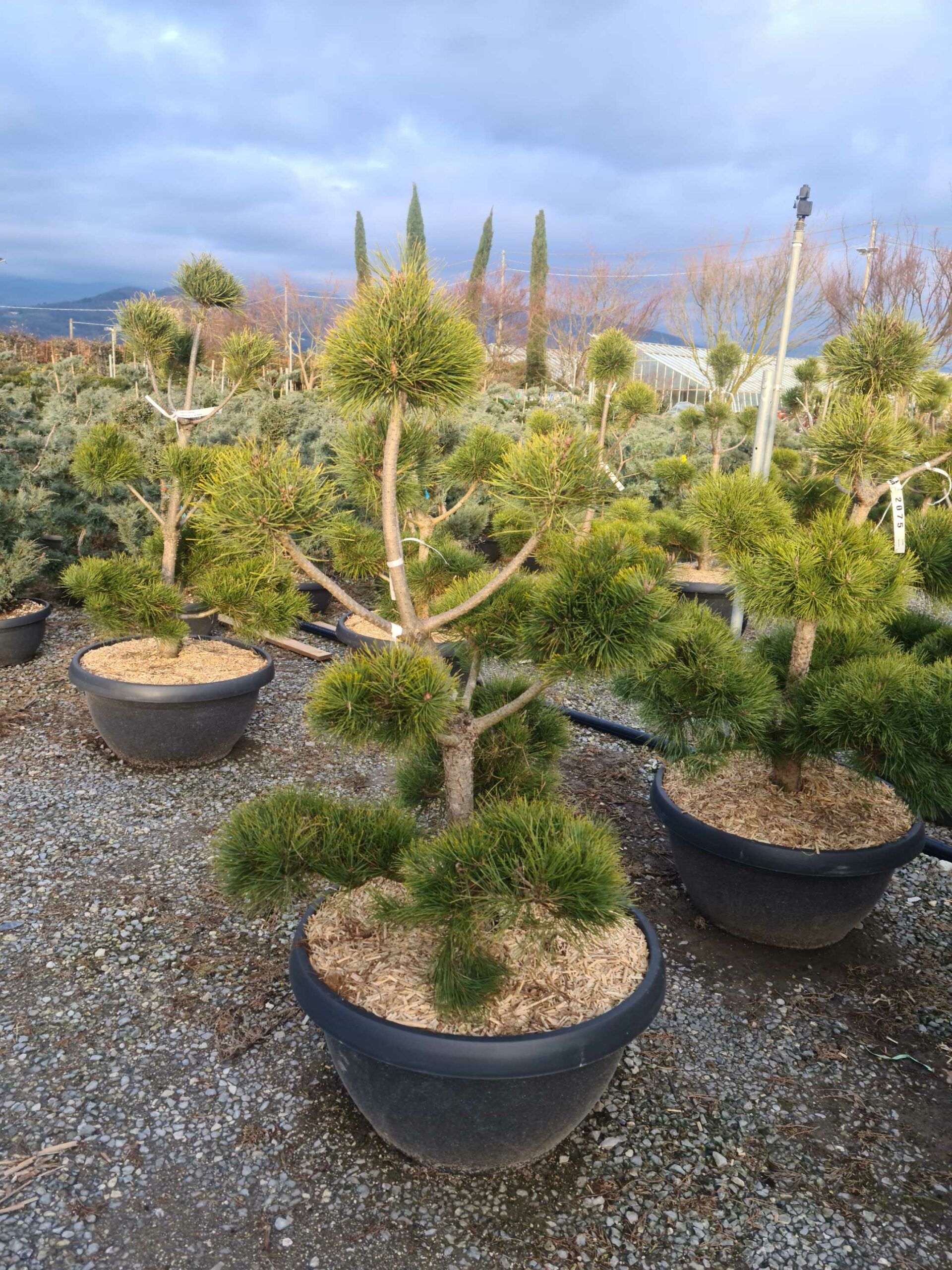 1675437298 scaled f64a9b80