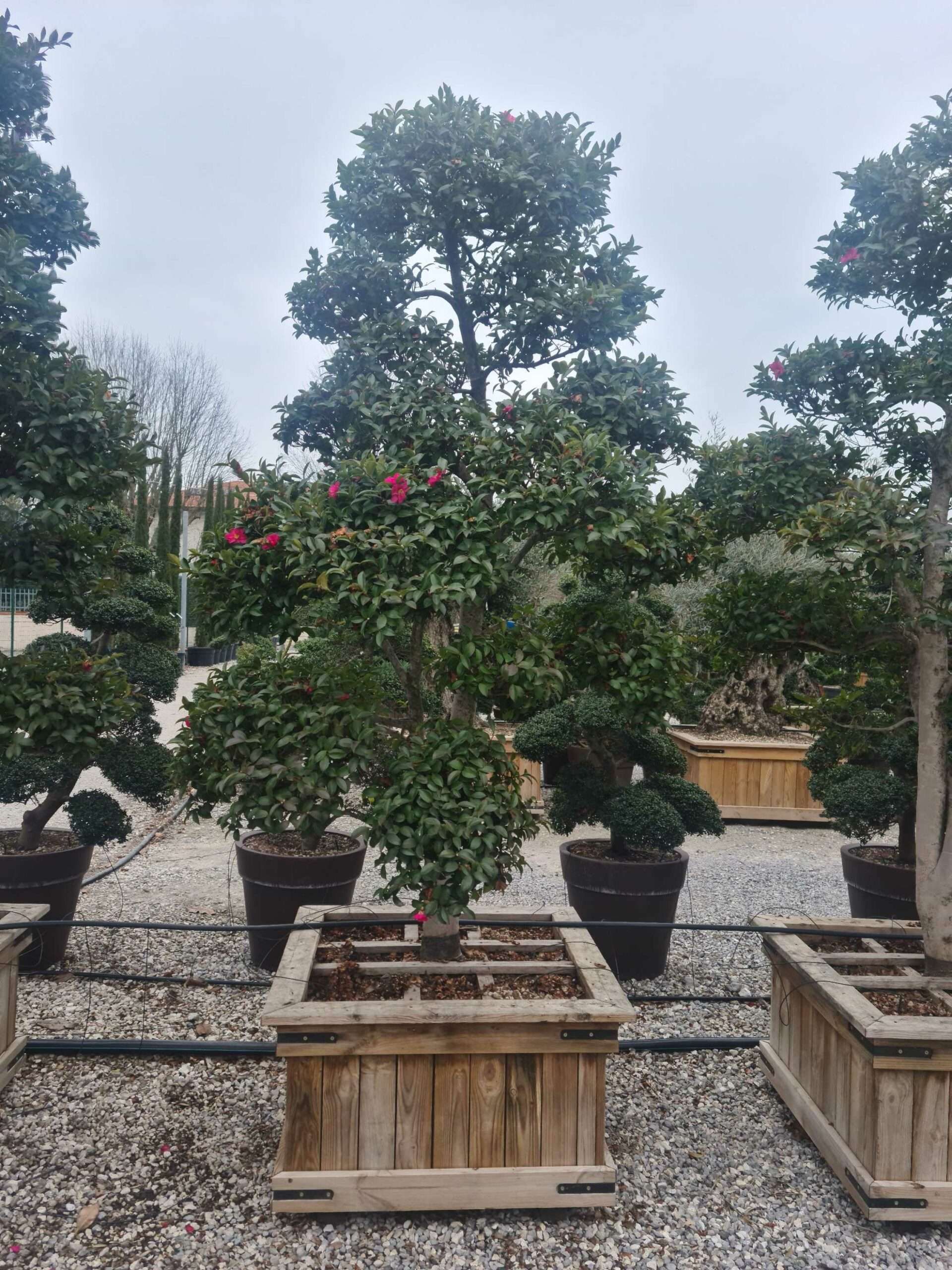 1676990137 scaled f65cdcd3