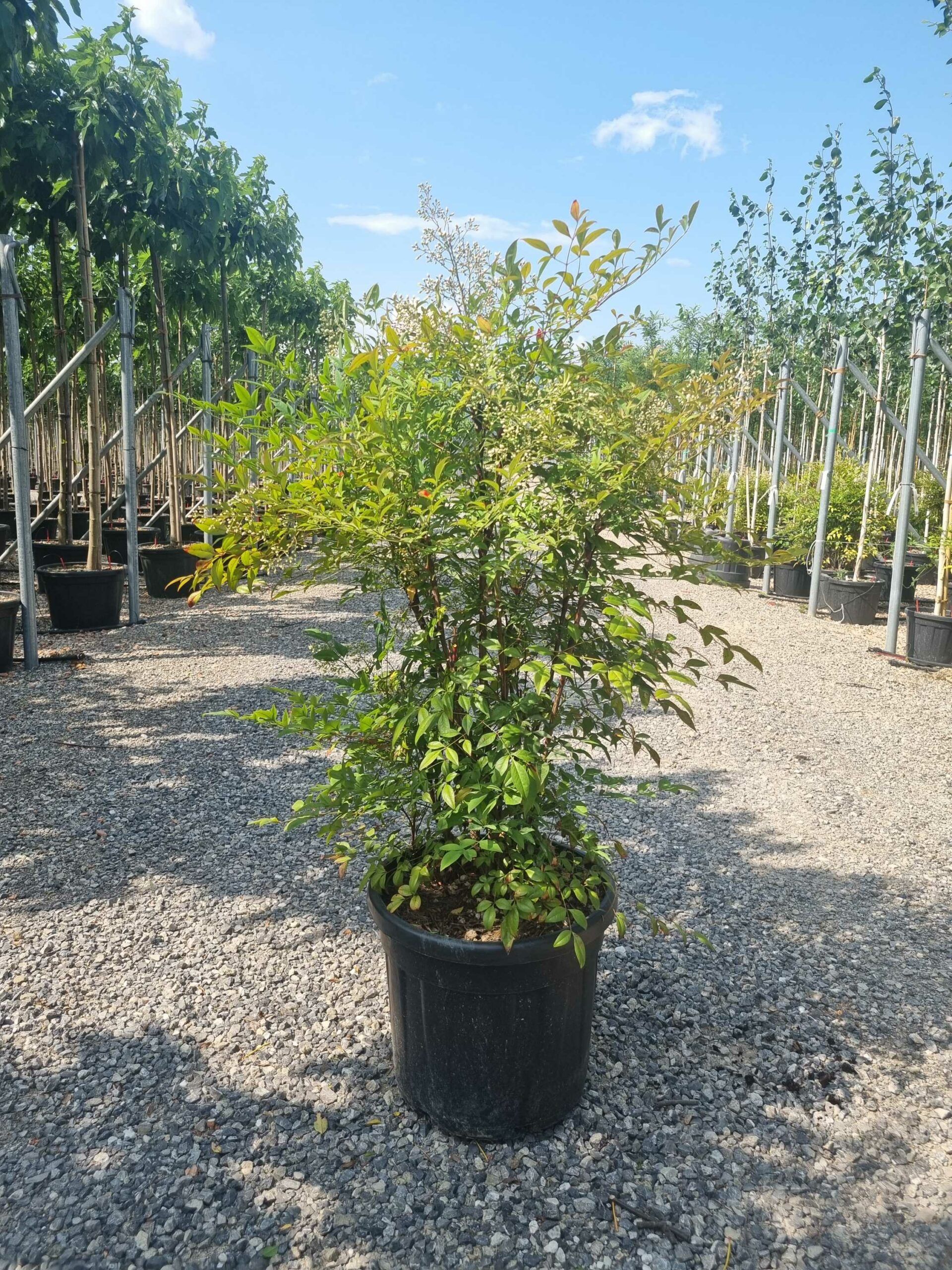 1685456230 scaled f64eabc3