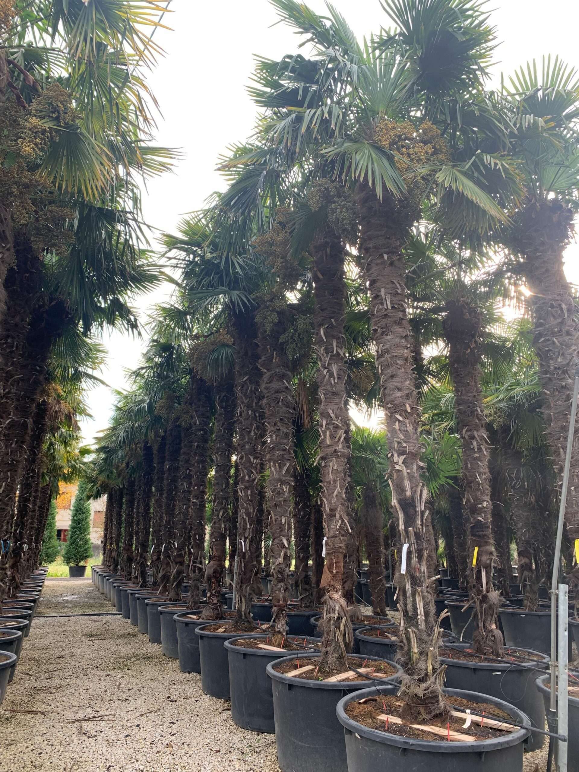 1636101315 scaled f7c98c06