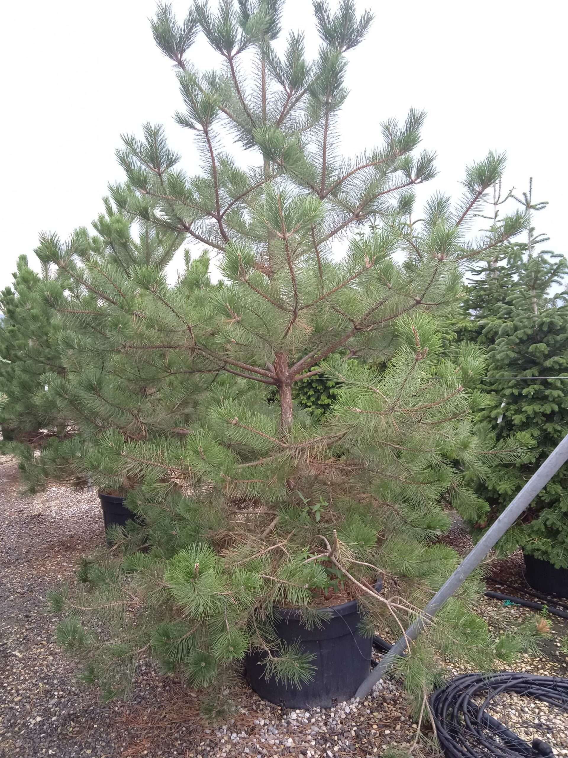 1662185565 scaled f7e4f75d