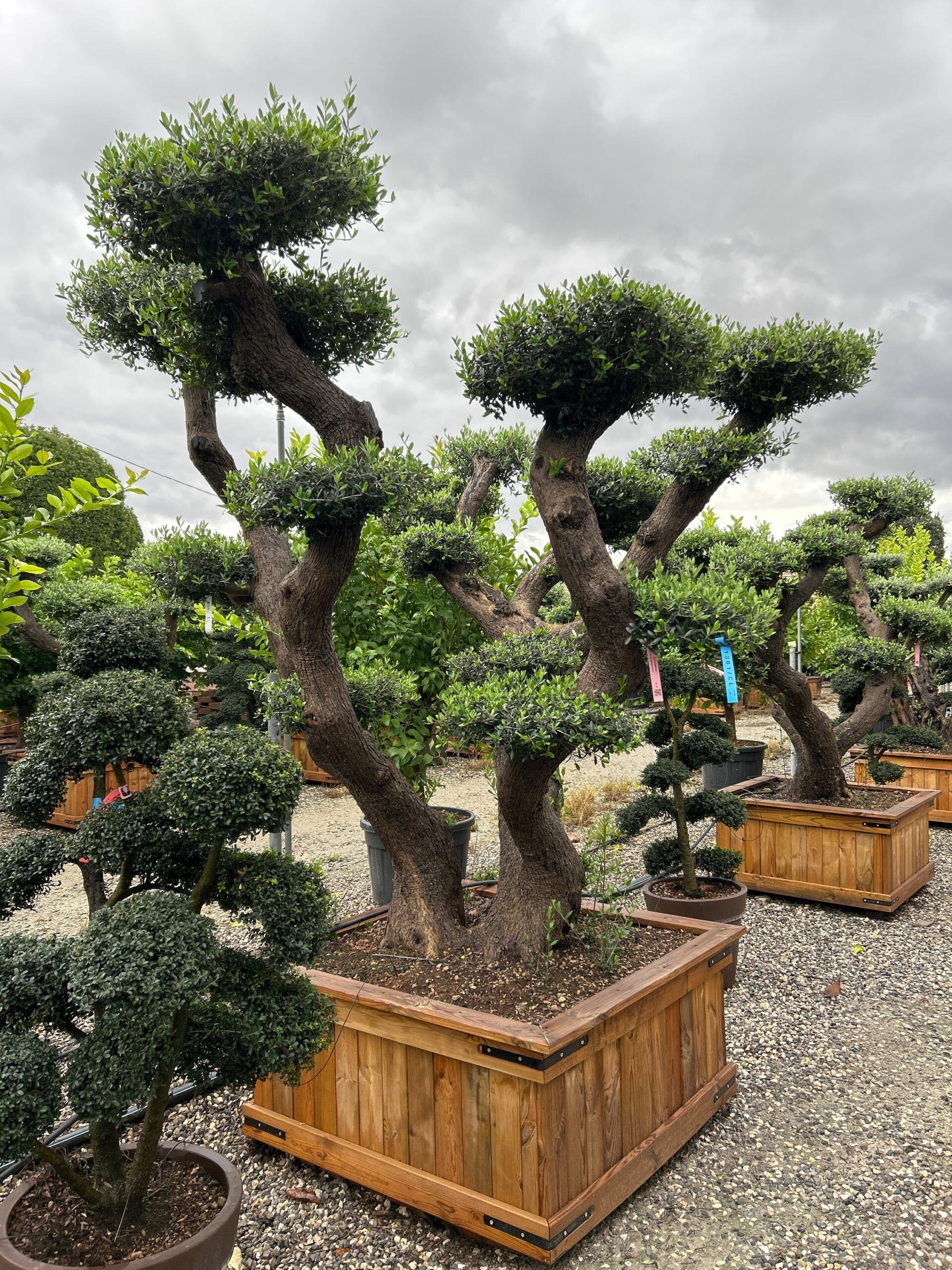 1698308137 scaled f7761325