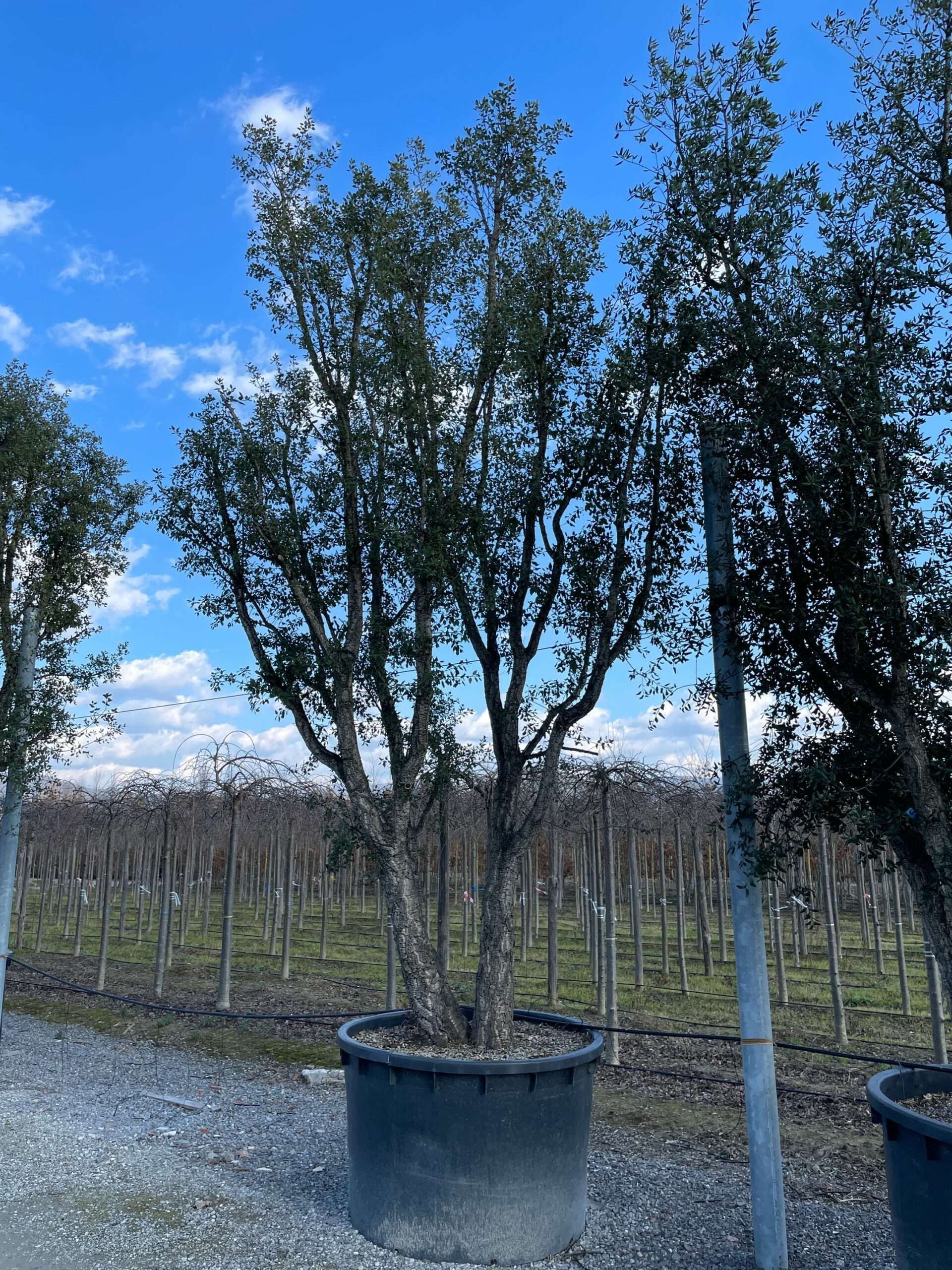 1644240796 scaled f8839cca