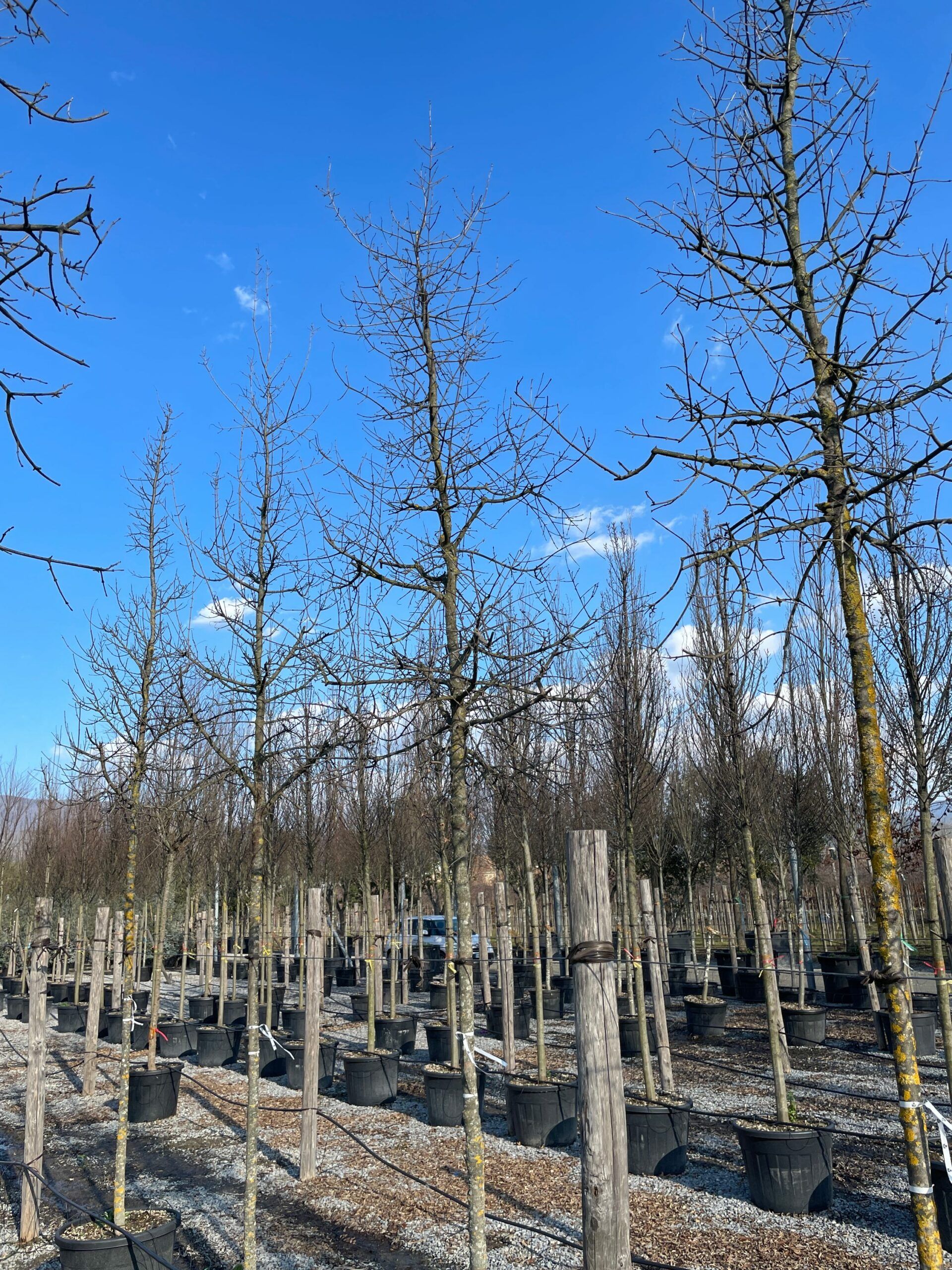 1644241719 scaled f8951266