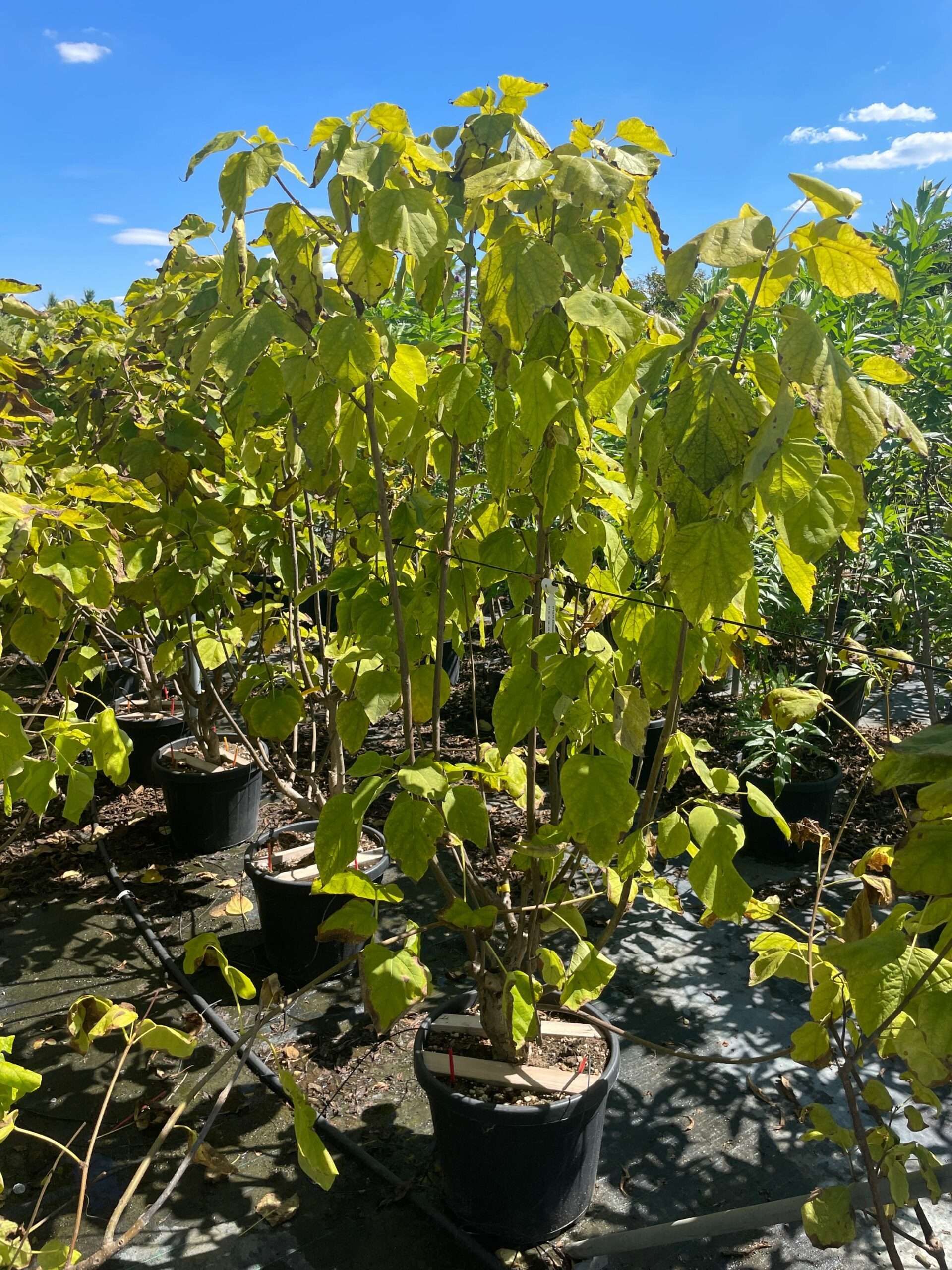 1661256574 scaled f8474eef