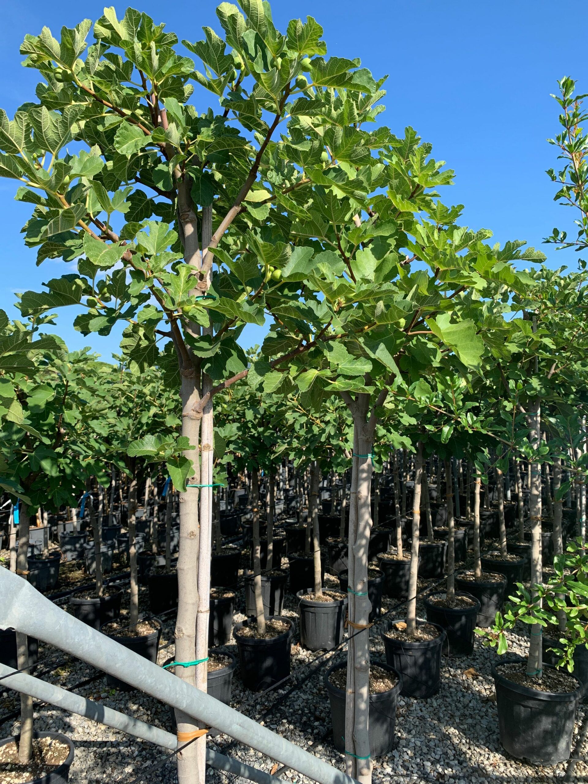 1662105313 scaled f83c1228