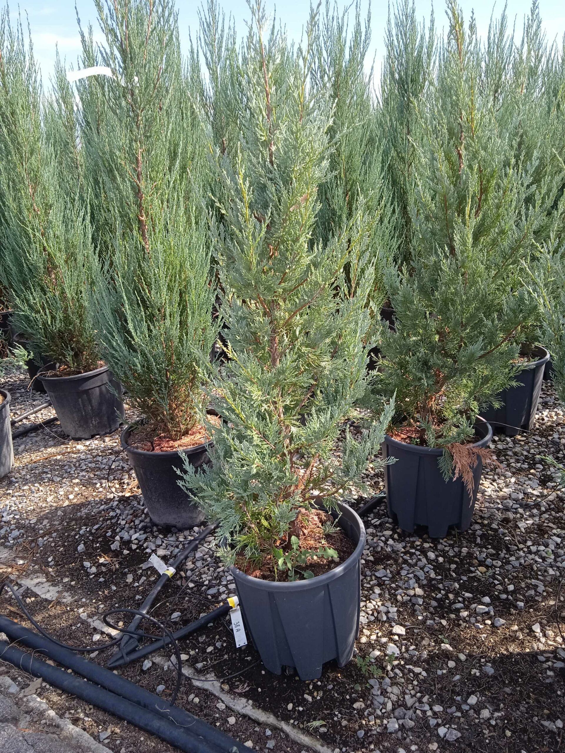 1662127085 scaled f8941e76