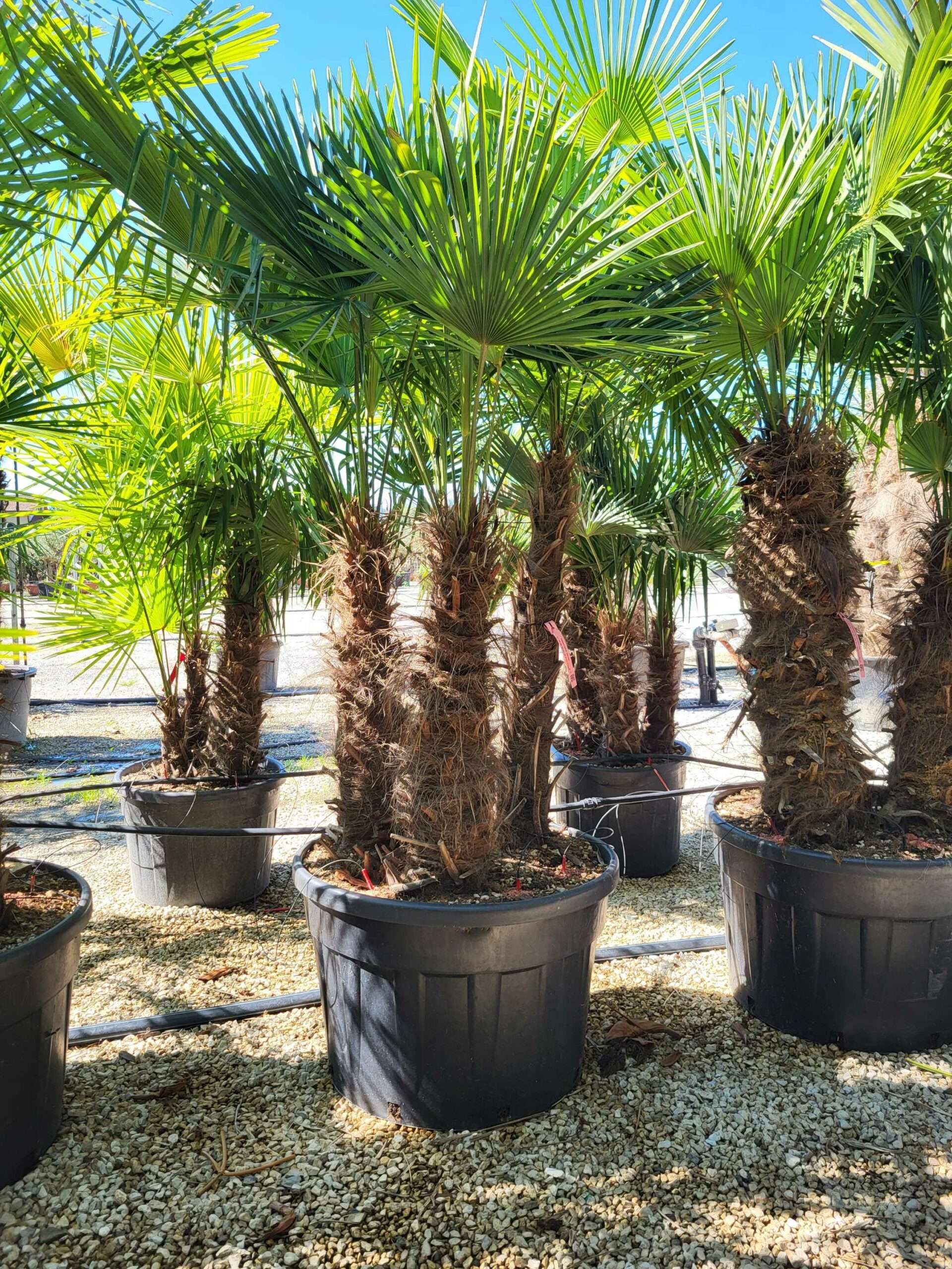 1691483453 scaled f8e36691