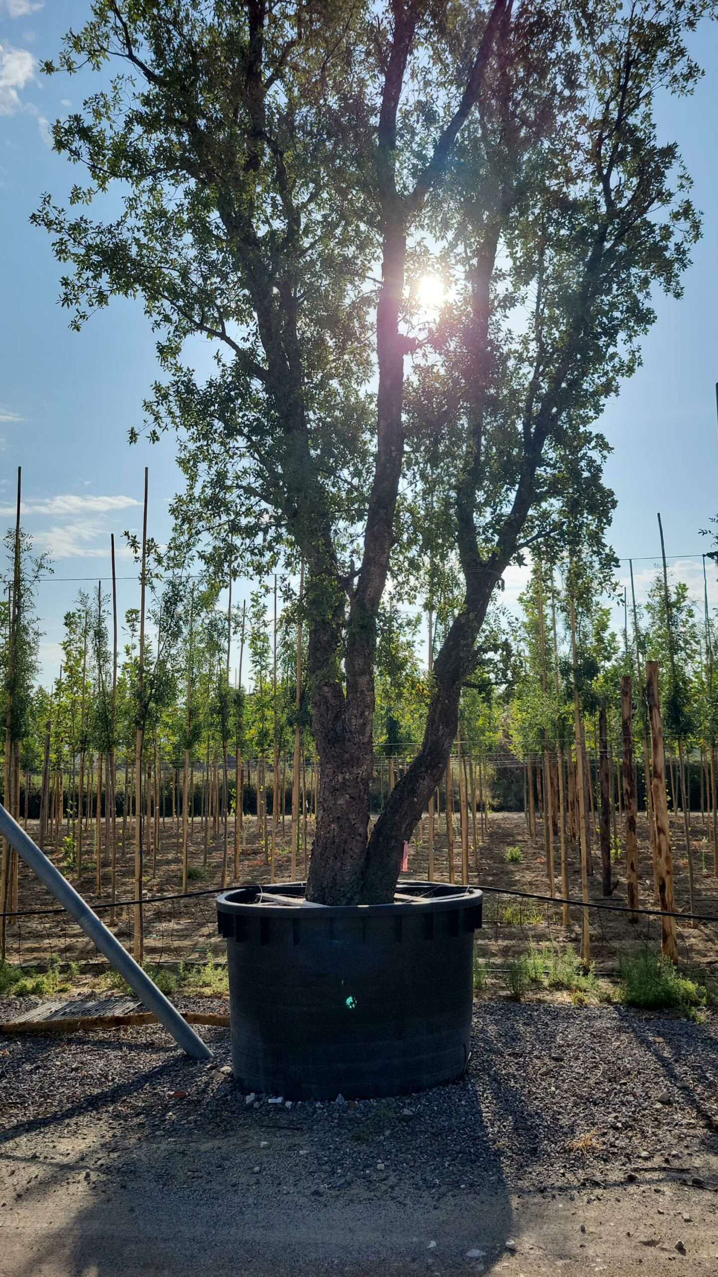 1694679008 scaled f87c929c