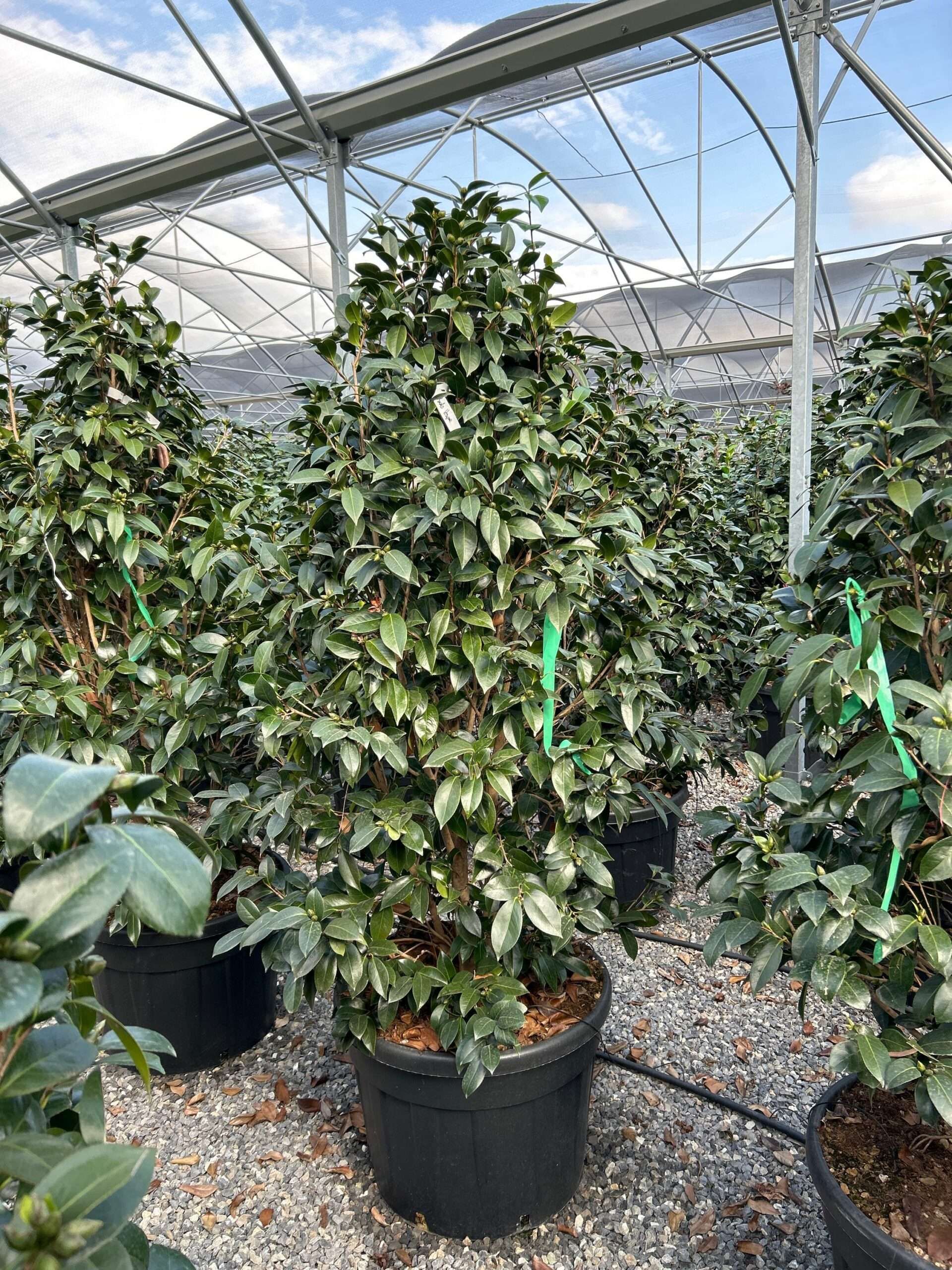 1697287495 scaled f8352731