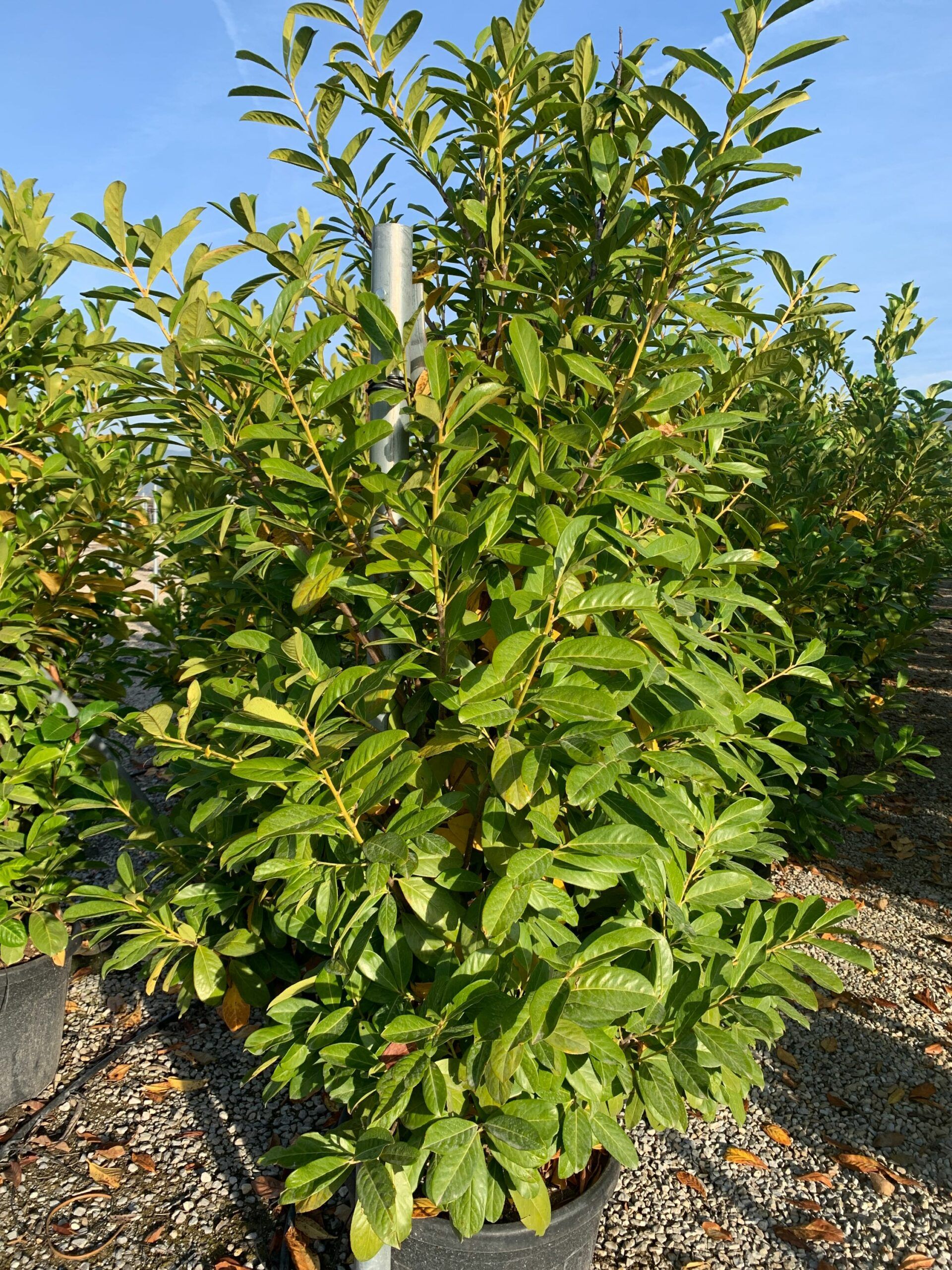 1635493060 scaled f97c01ca