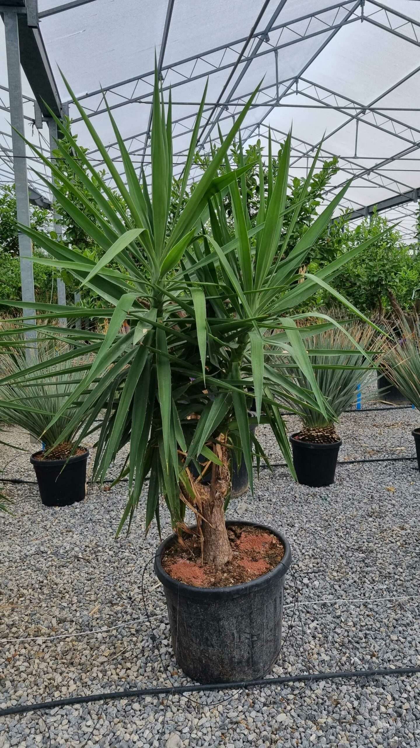 1661782402 scaled f92e79f6