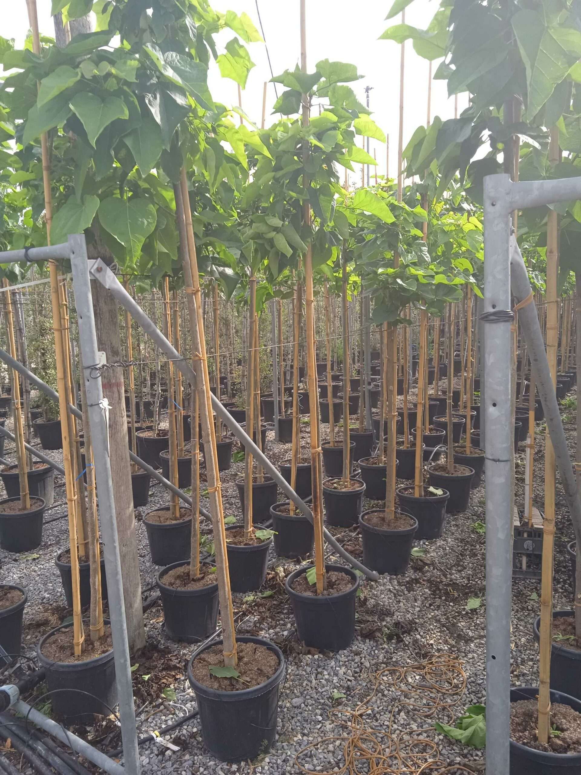 1662018922 scaled f908b6dd