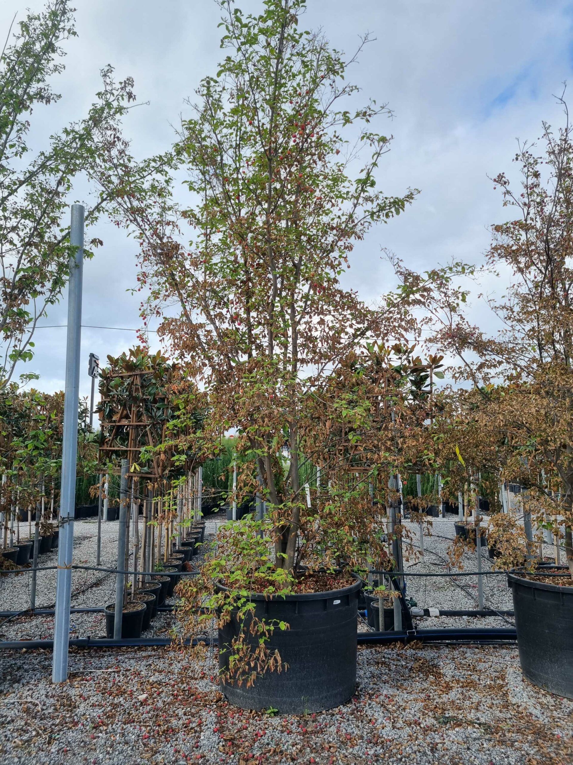 1664442161 scaled f99fea4e