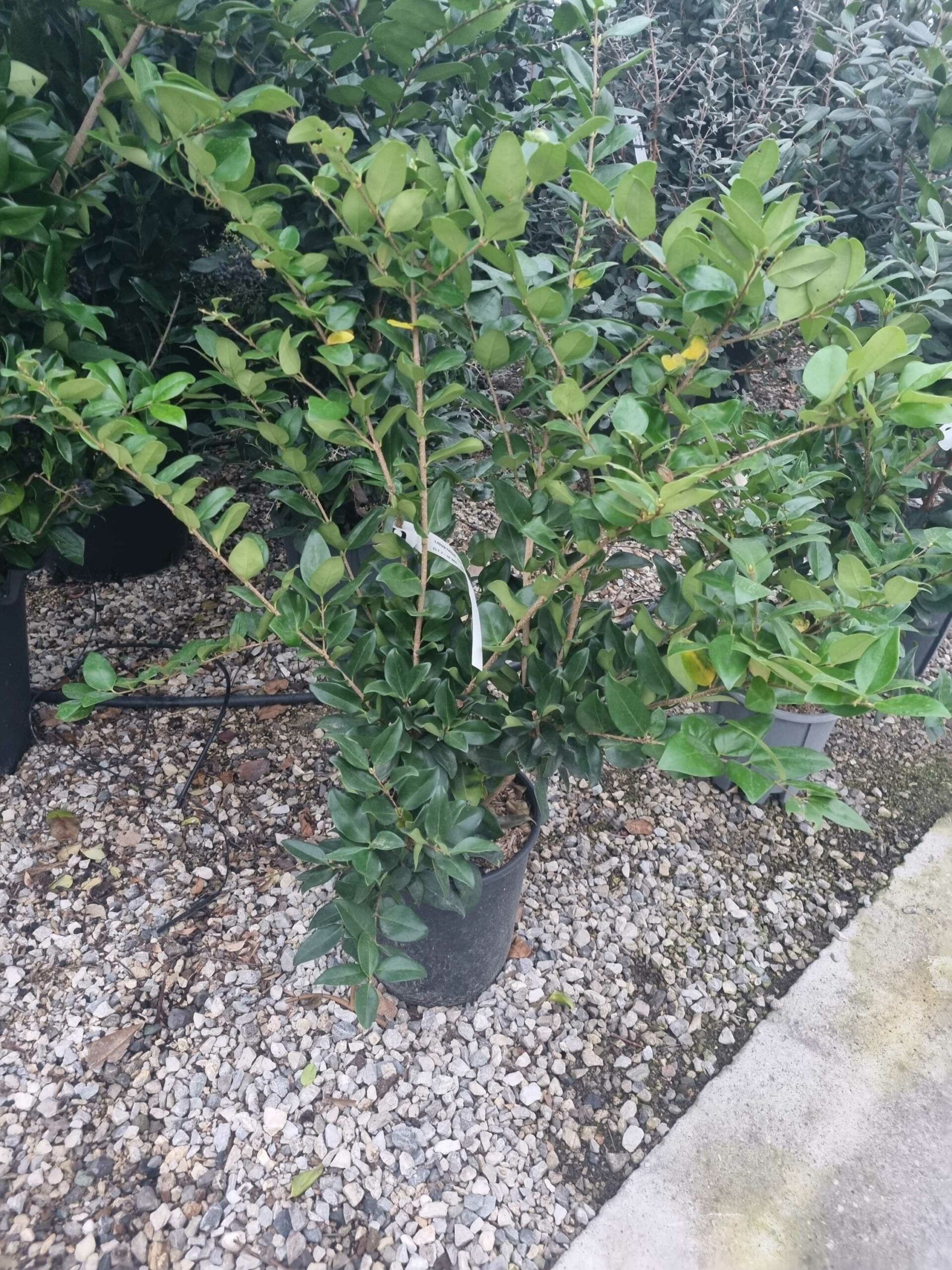 1676563840 scaled f9efce24