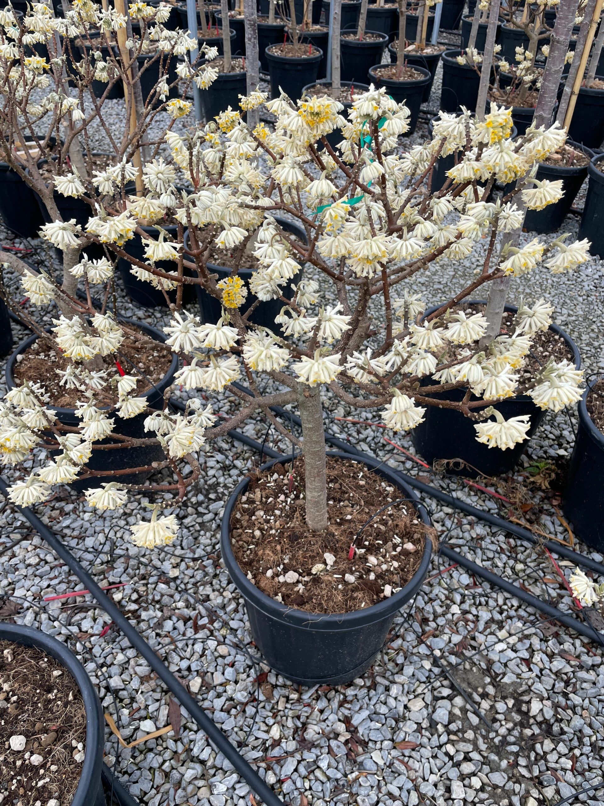 1677841097 scaled f9a7e532