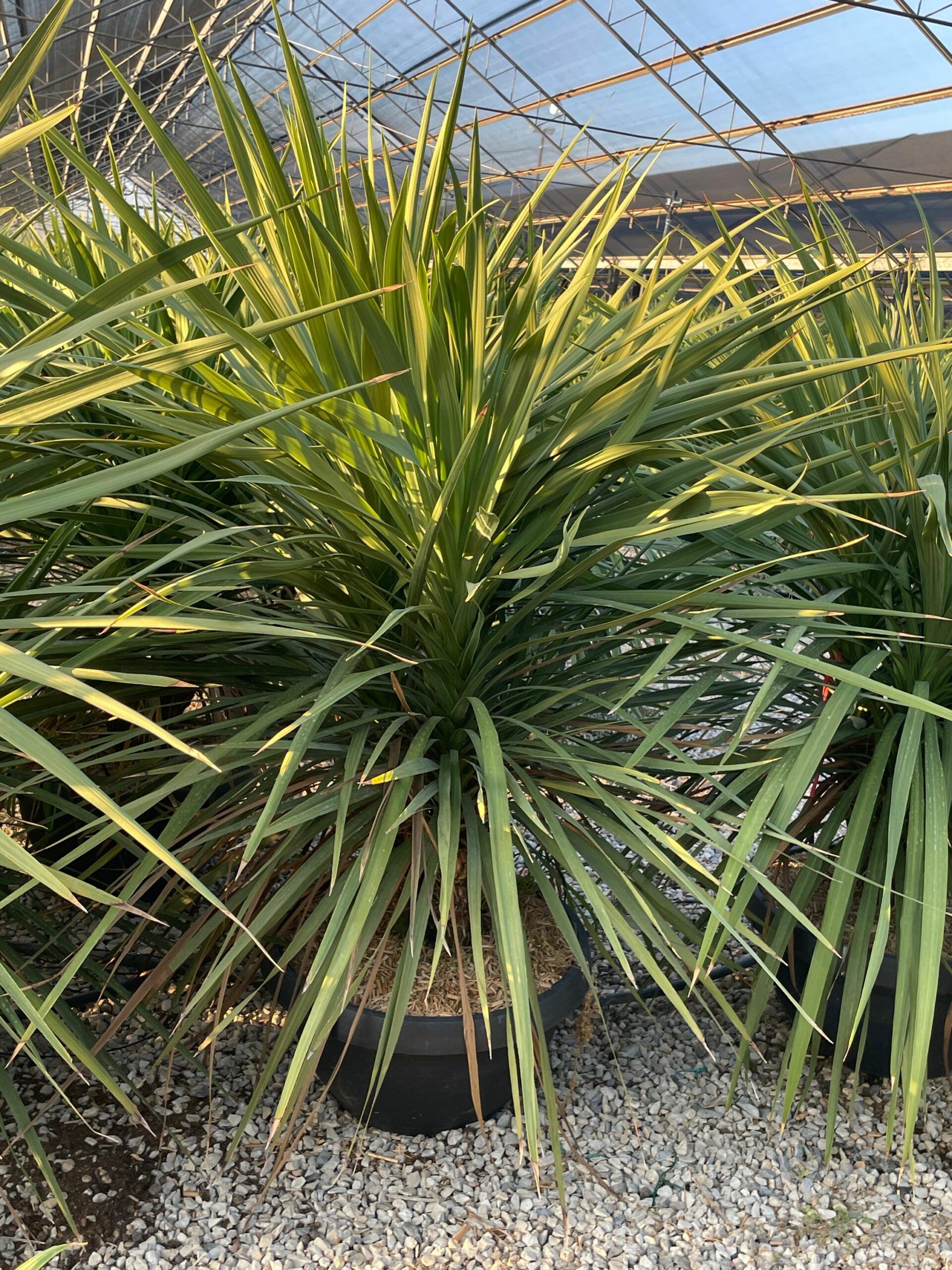 1692724342 scaled f93a198f