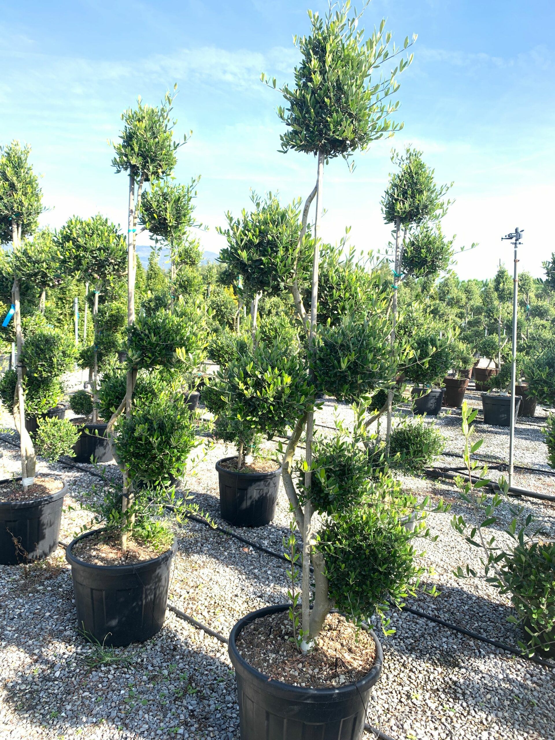 1635503233 scaled fa4b2fa7