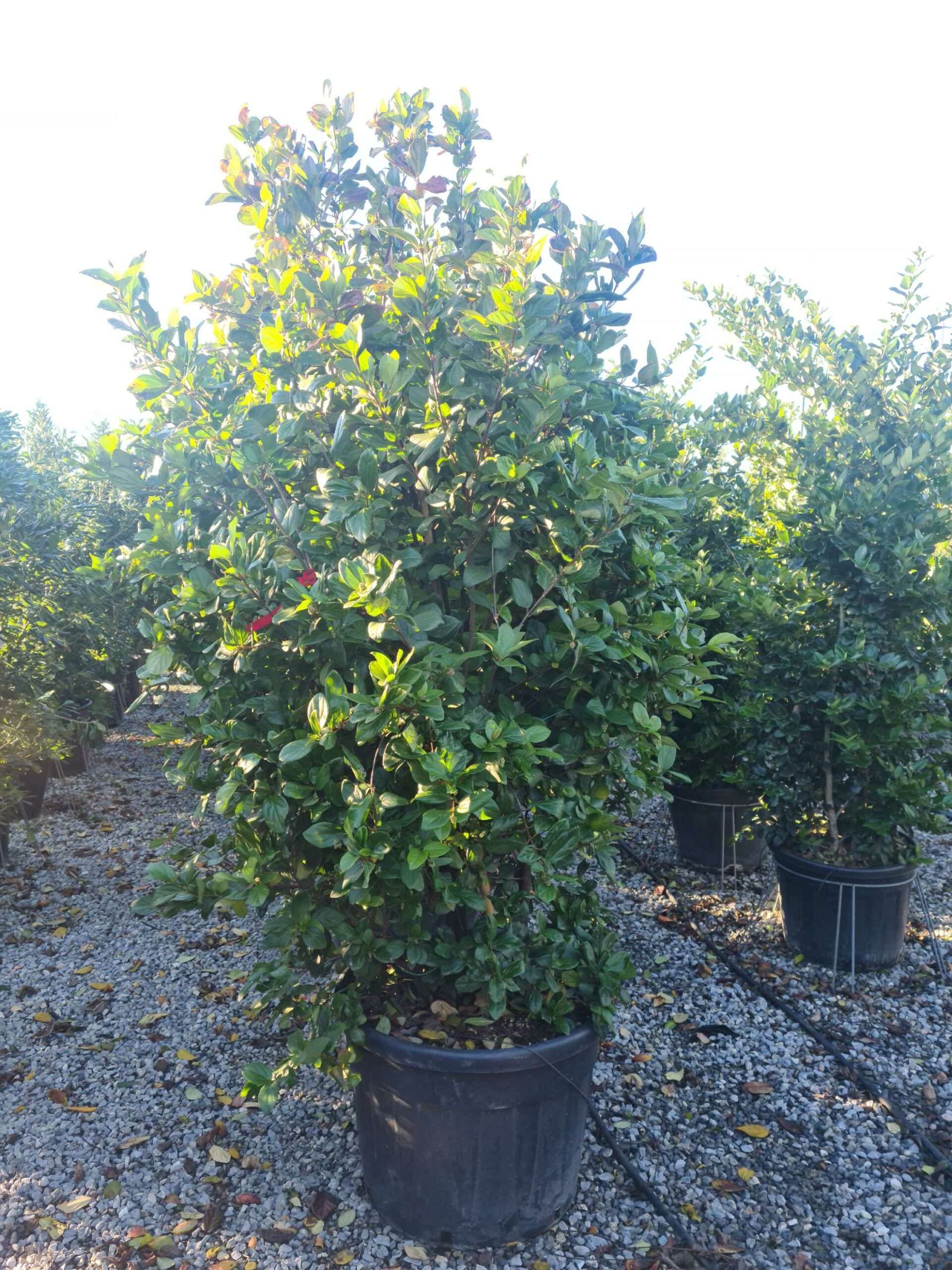 1639662508 scaled fad259c4